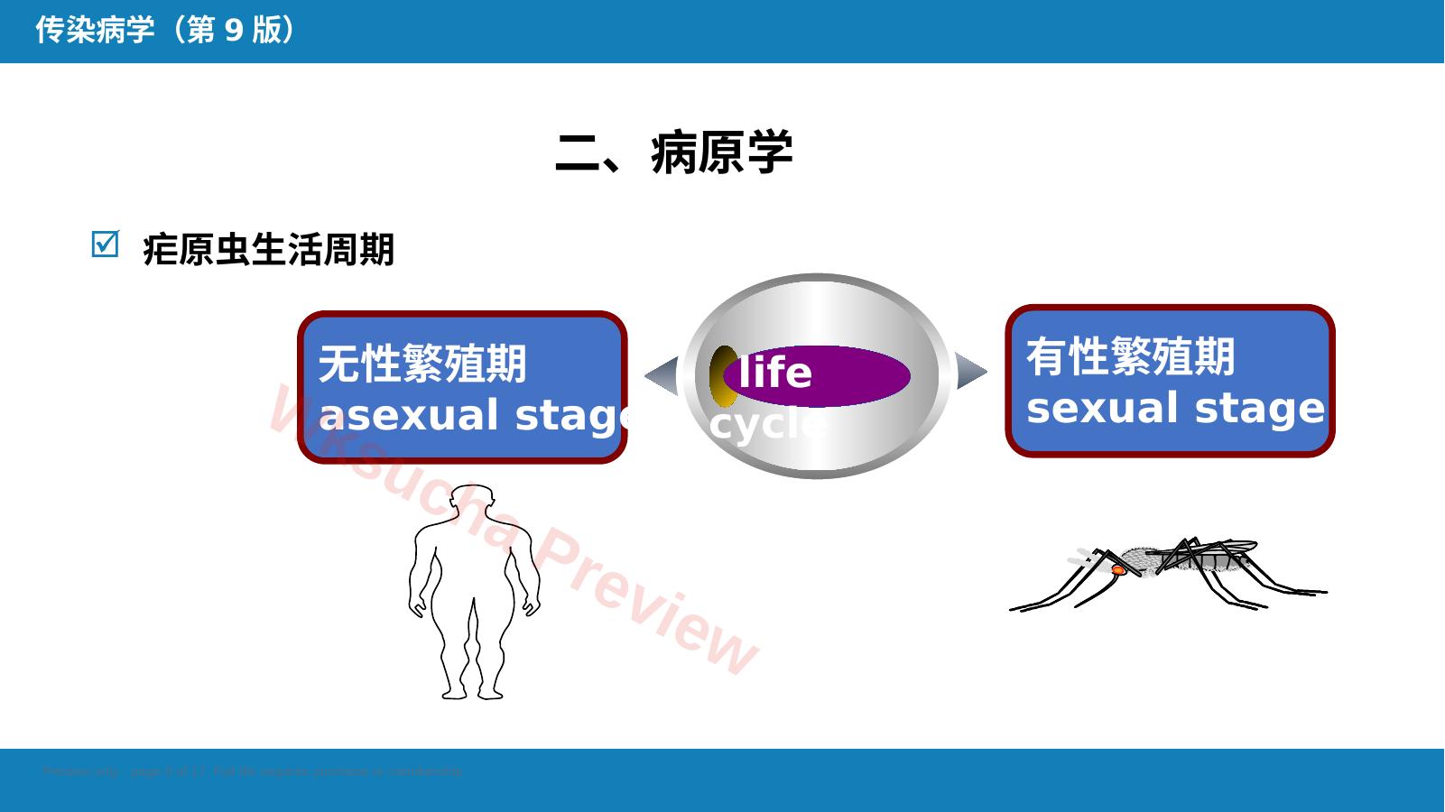 预览第 9 页