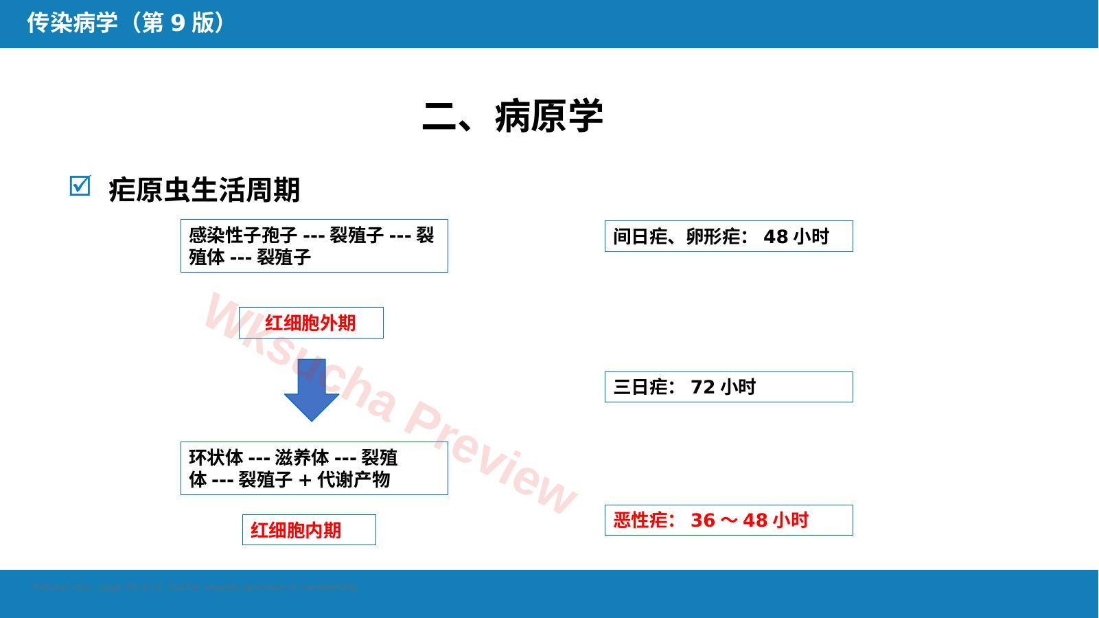 预览第 10 页
