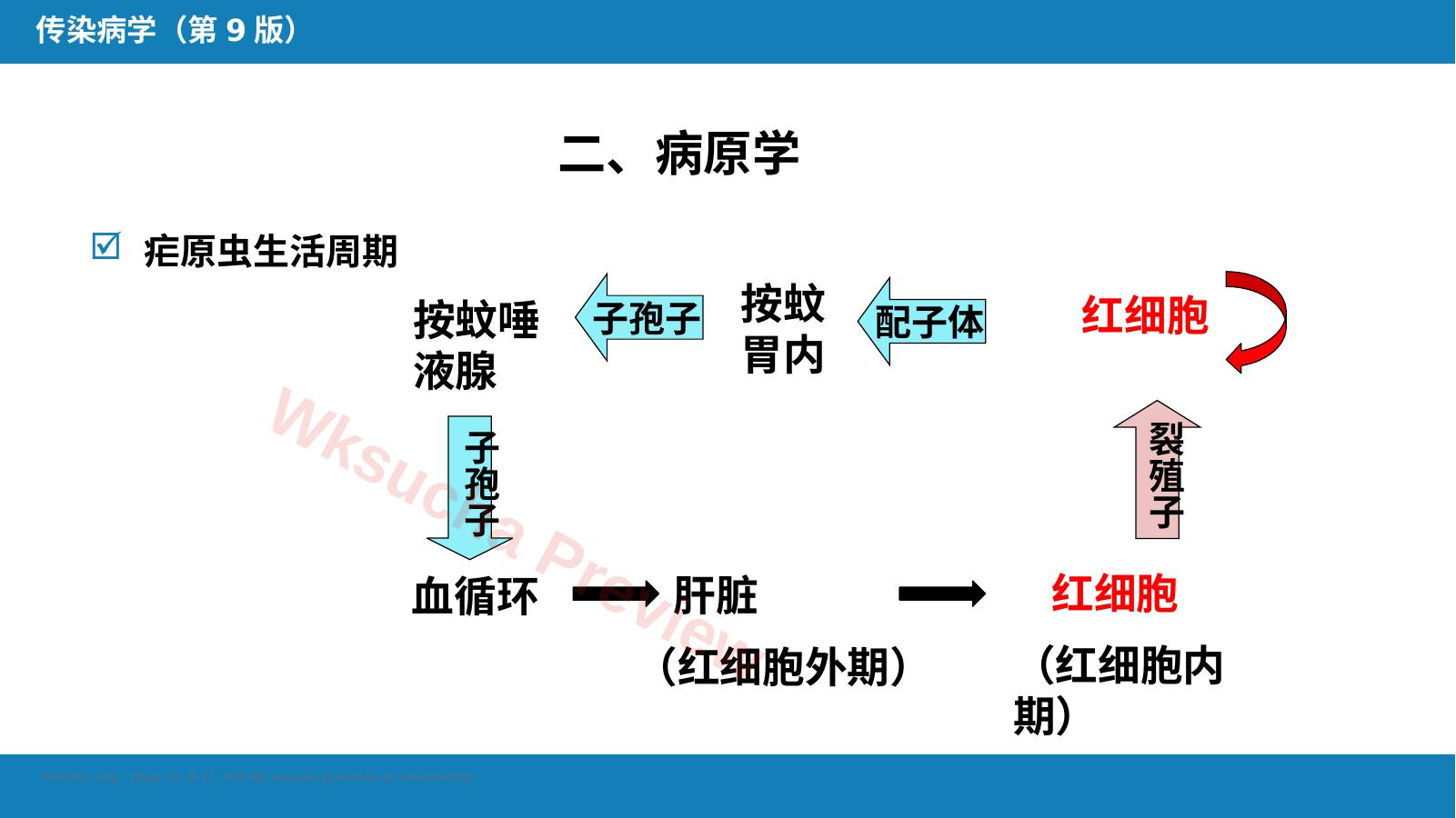 预览第 11 页