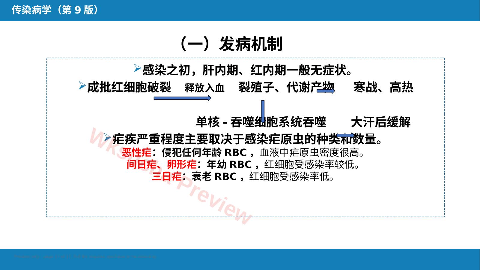 预览第 17 页