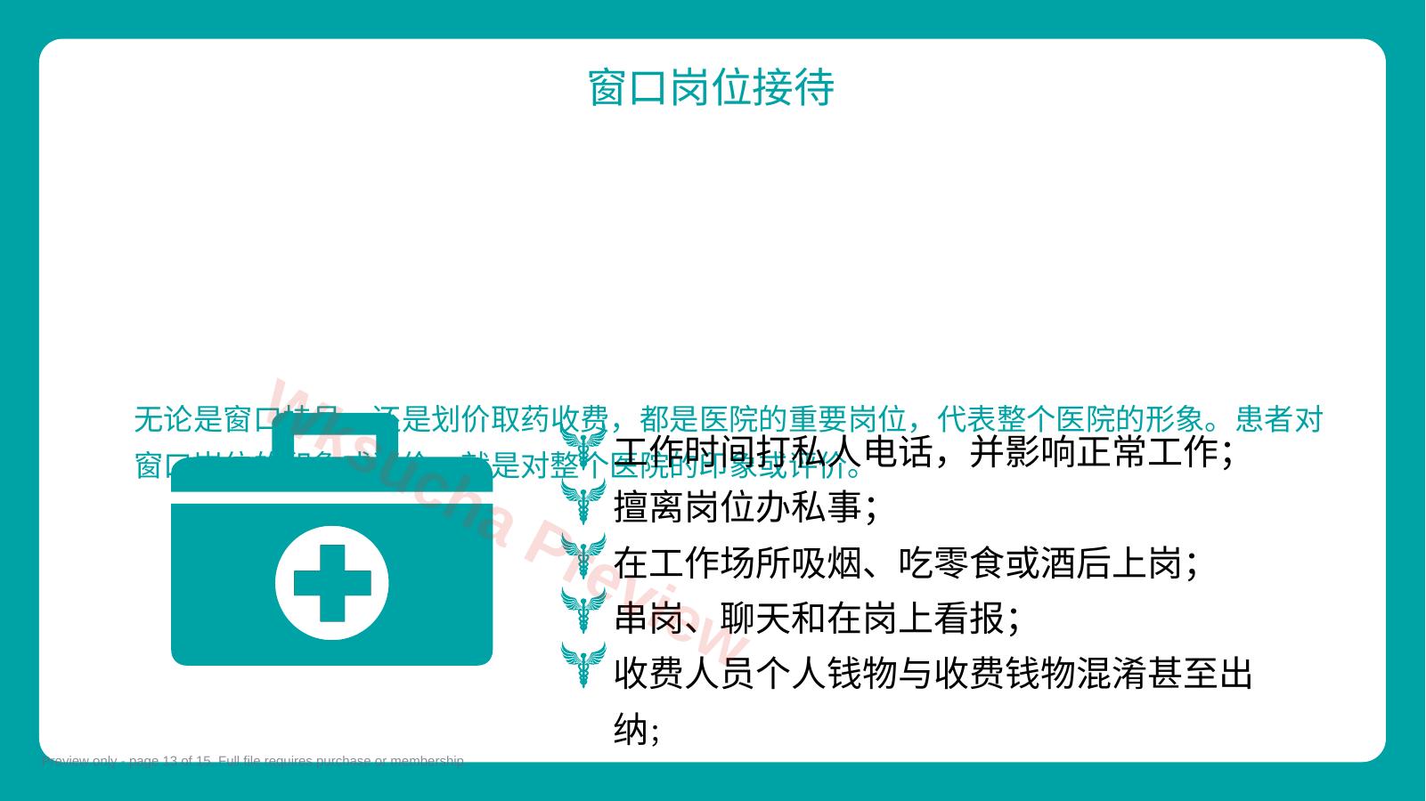 预览第 13 页