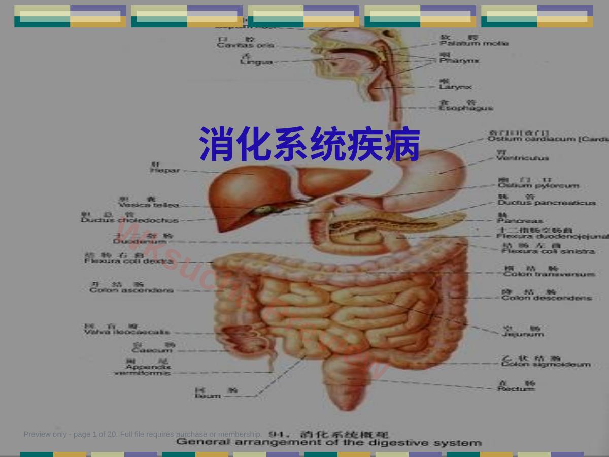 消化系统疾病