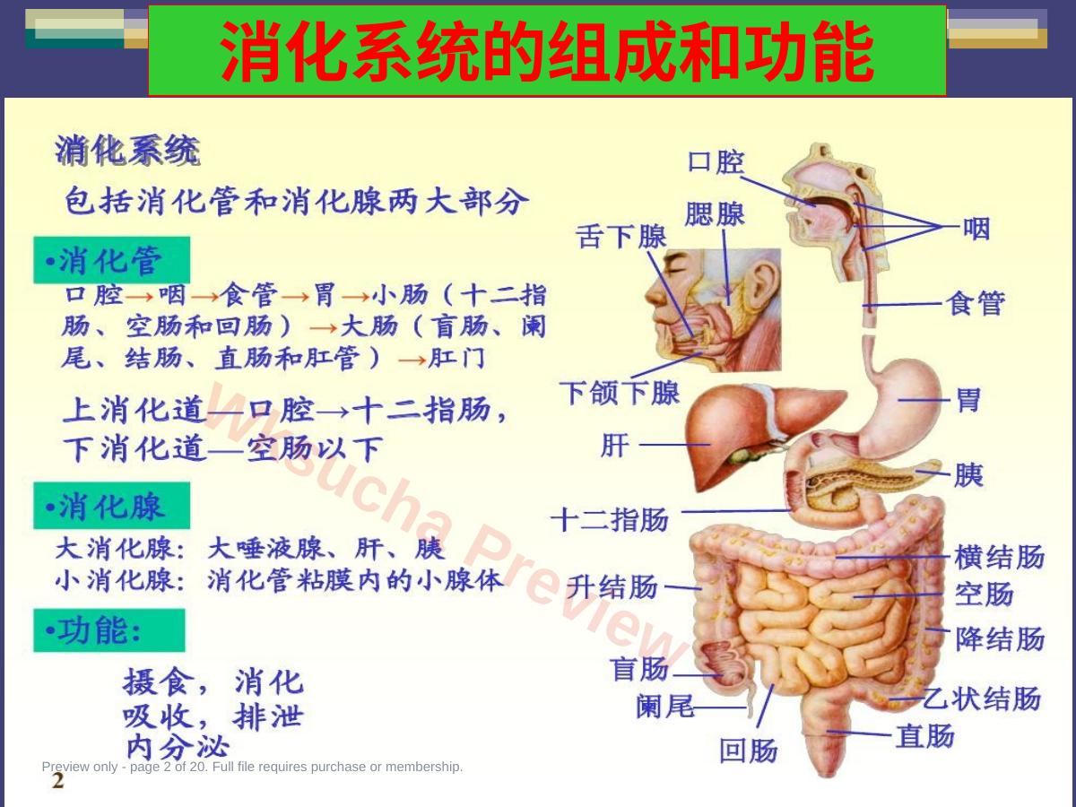 预览第 2 页