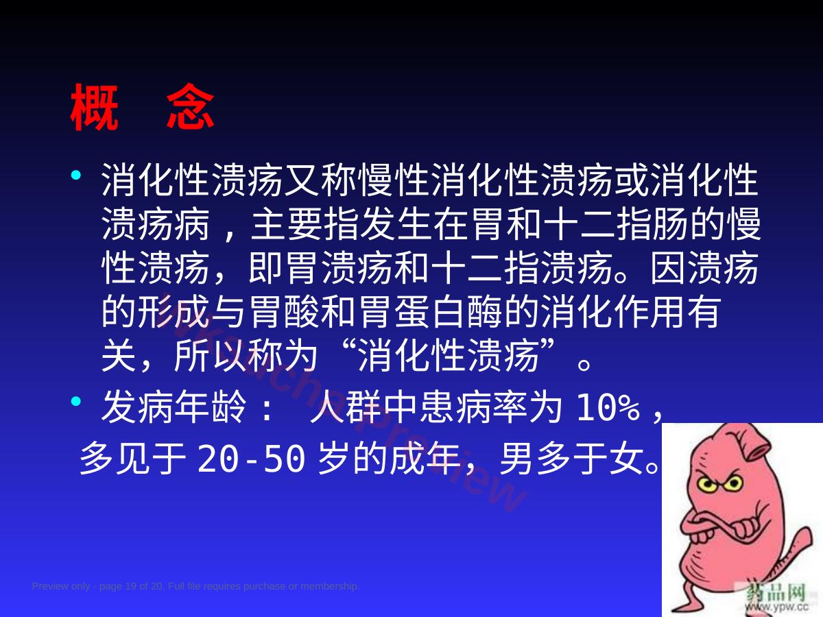 预览第 19 页