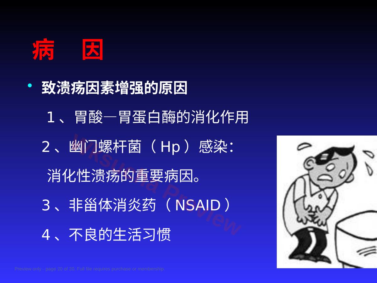 预览第 20 页