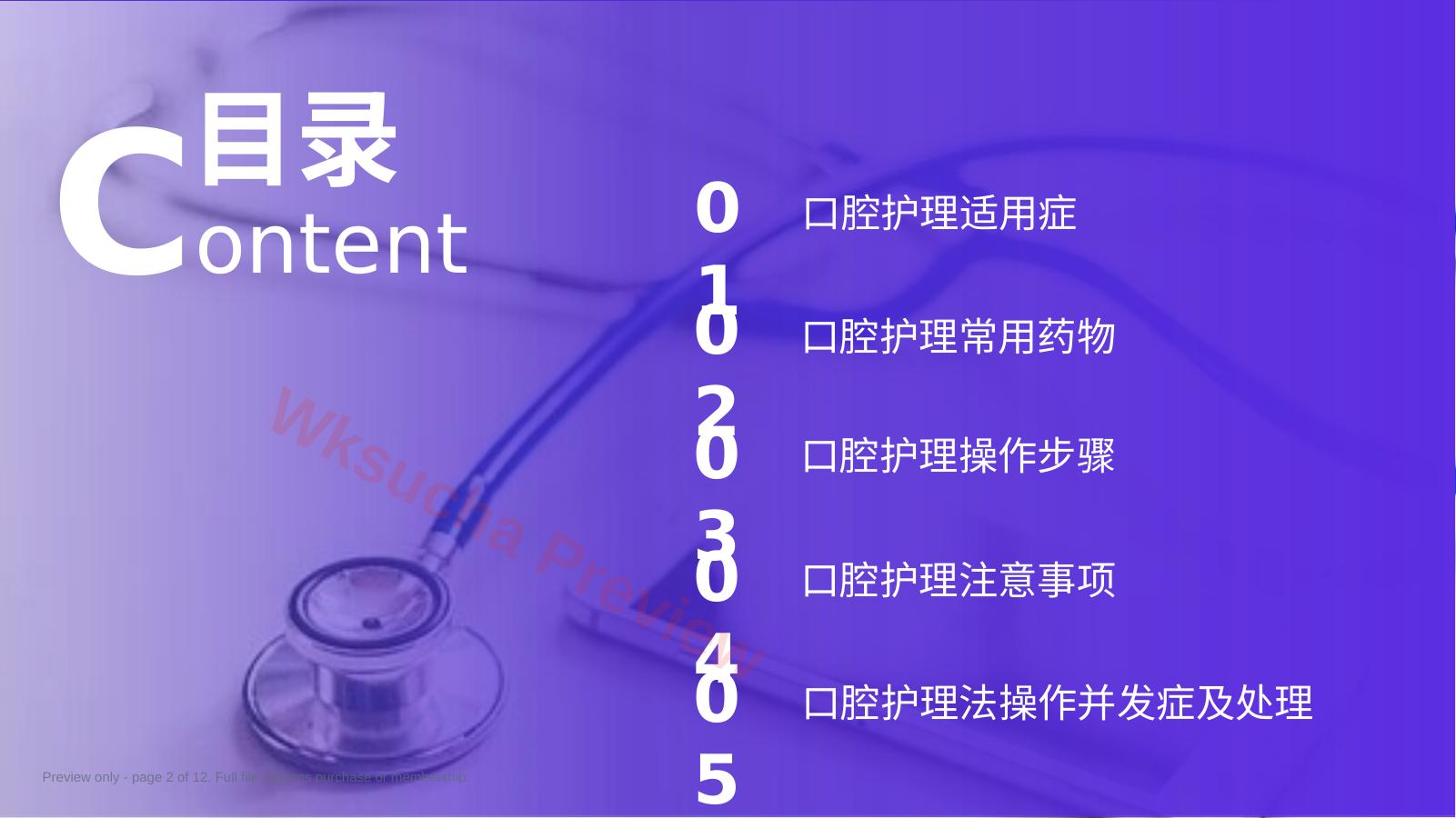 预览第 2 页