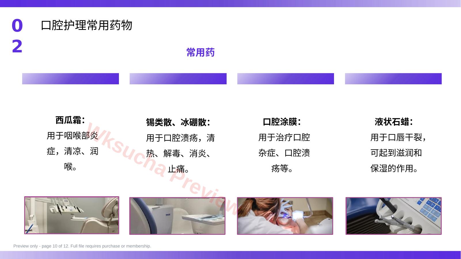 预览第 10 页