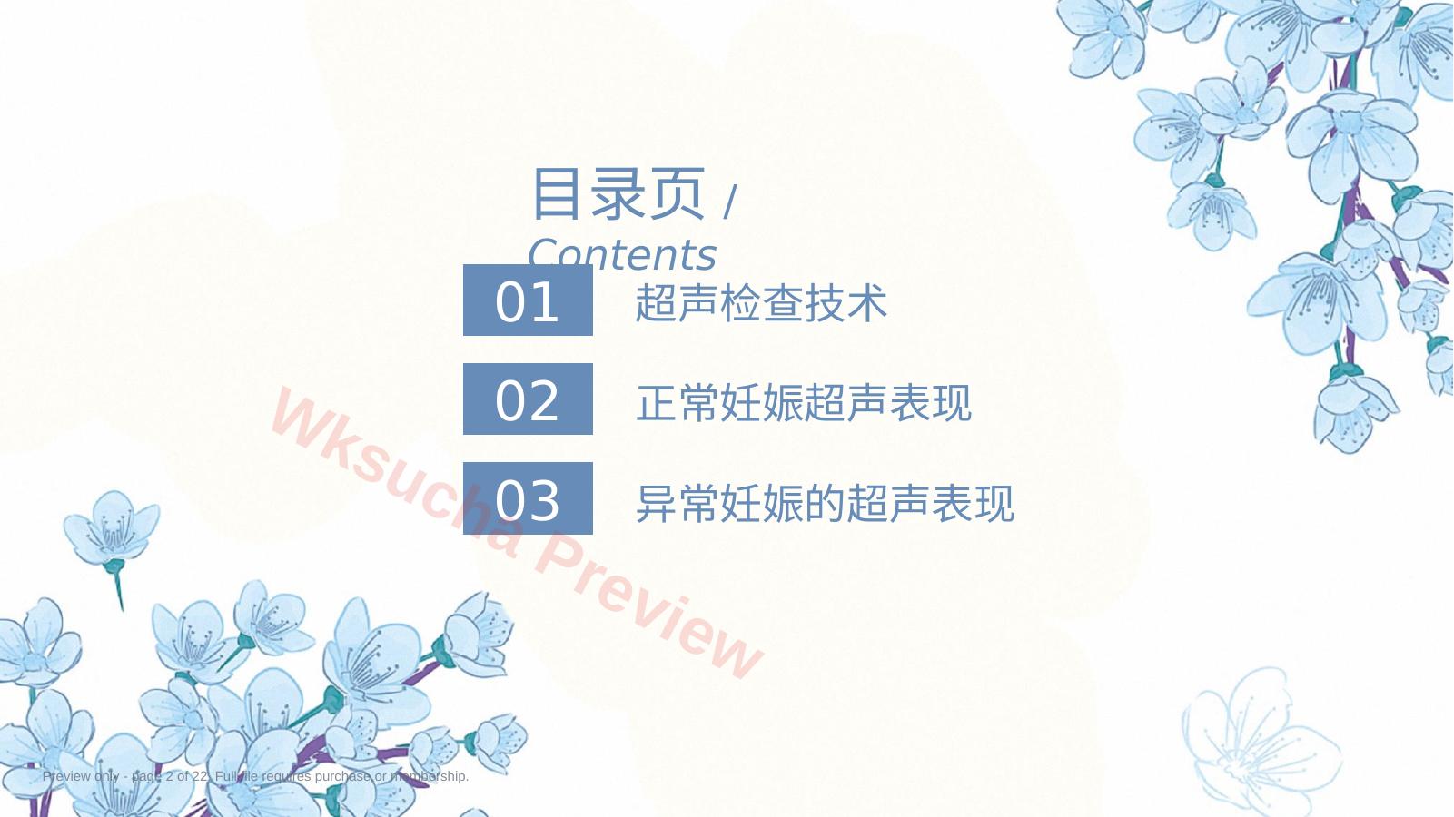 预览第 2 页