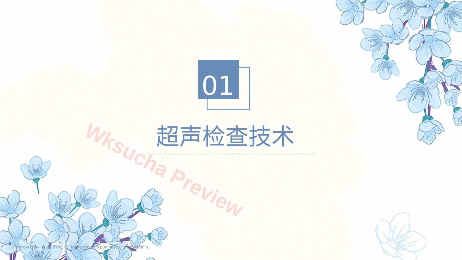 预览第 3 页