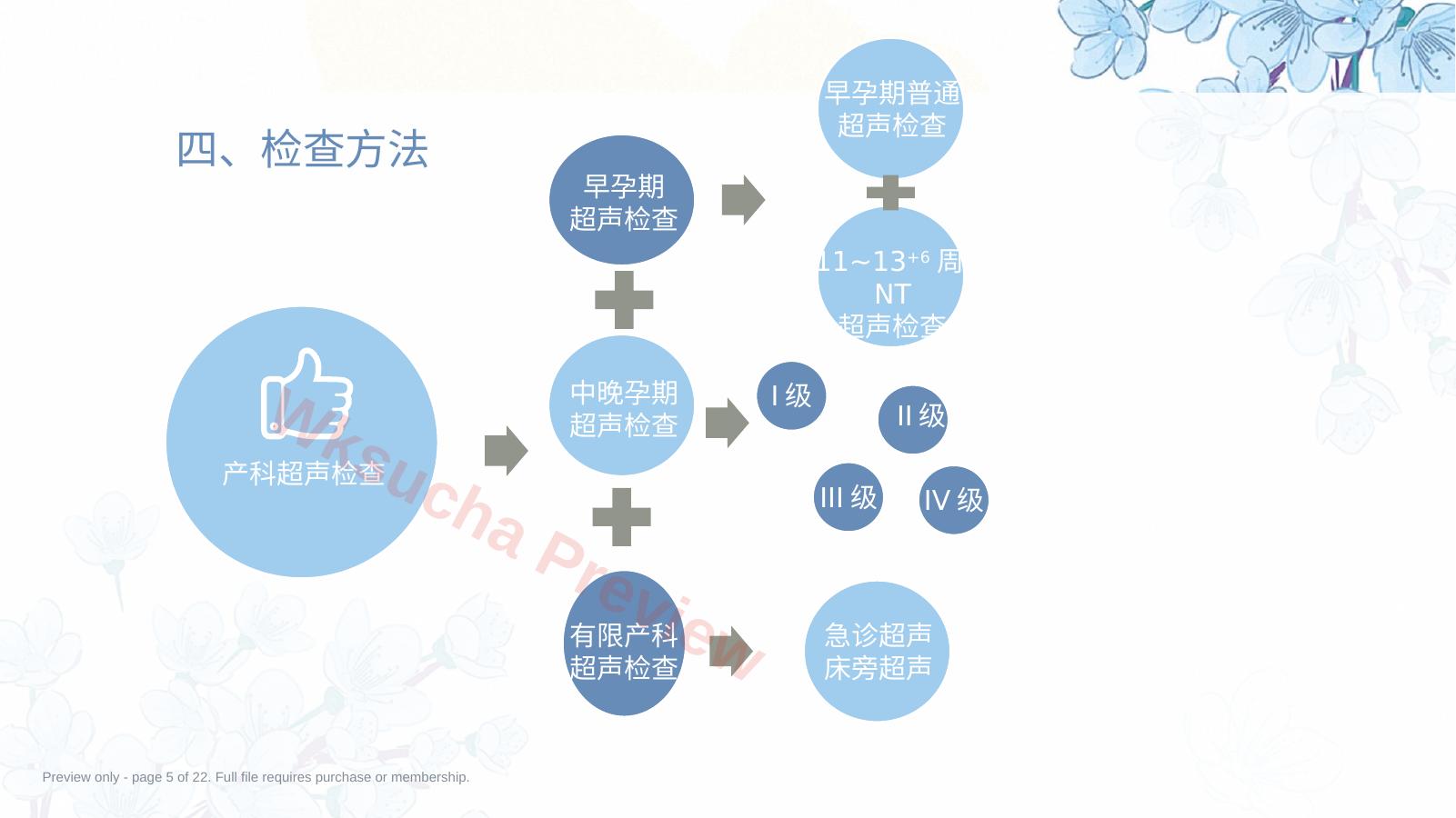 预览第 5 页