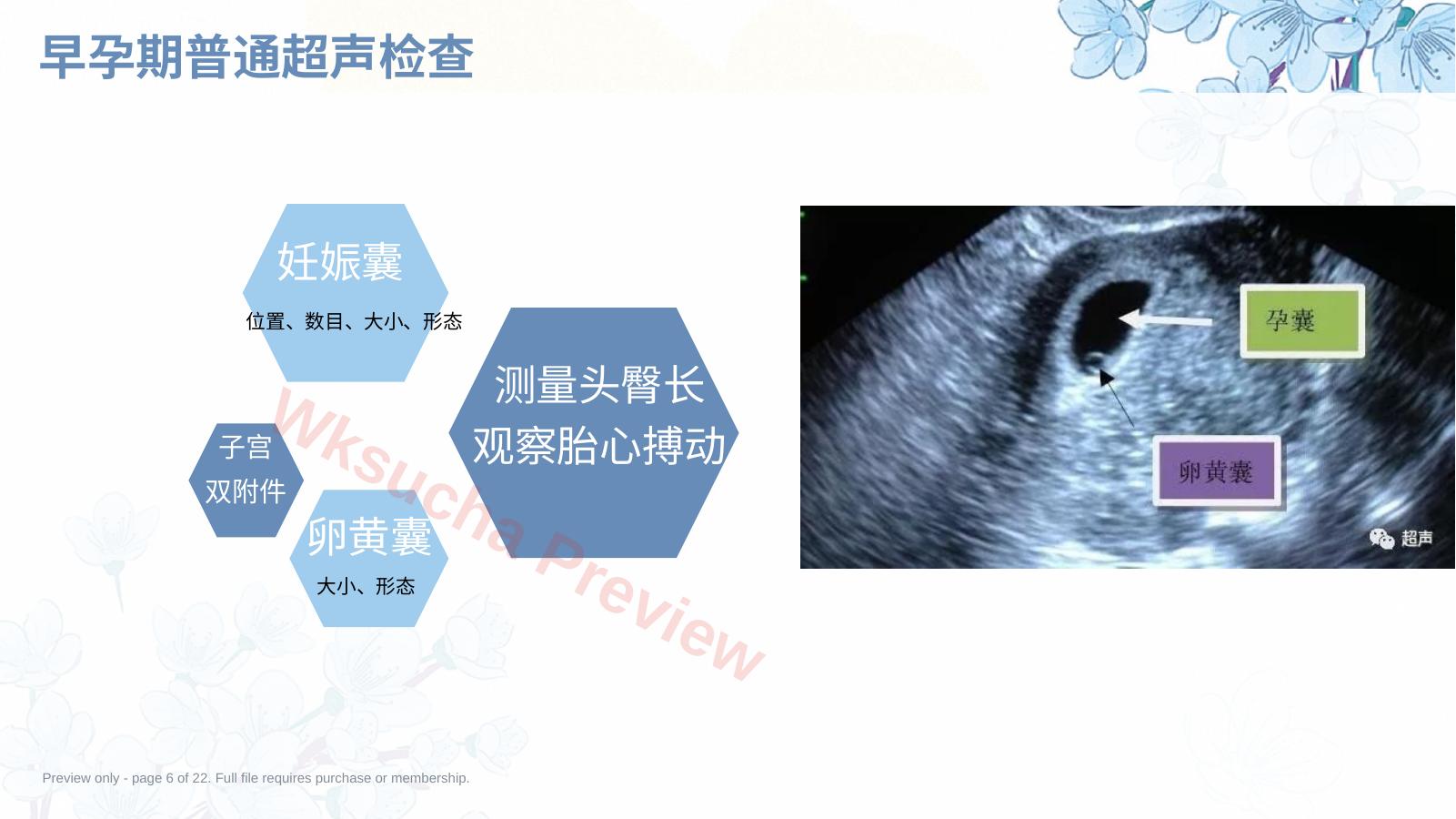 预览第 6 页