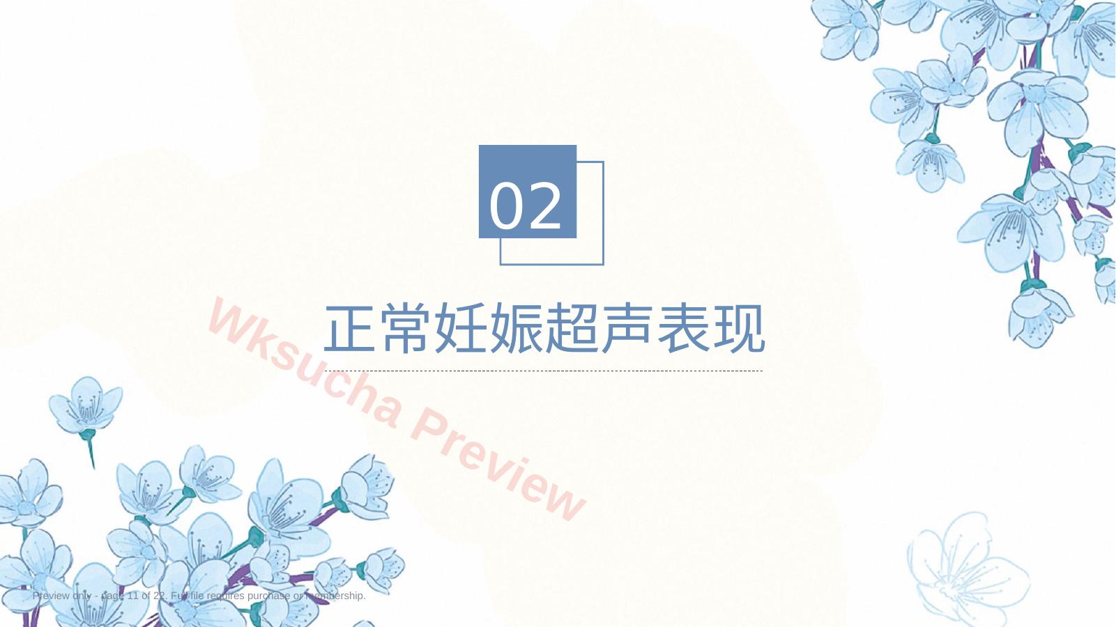 预览第 11 页