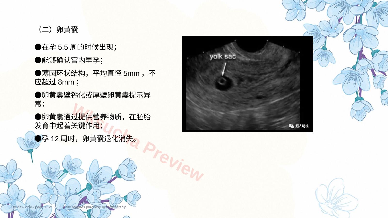 预览第 13 页