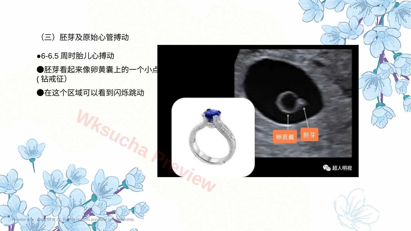 预览第 14 页