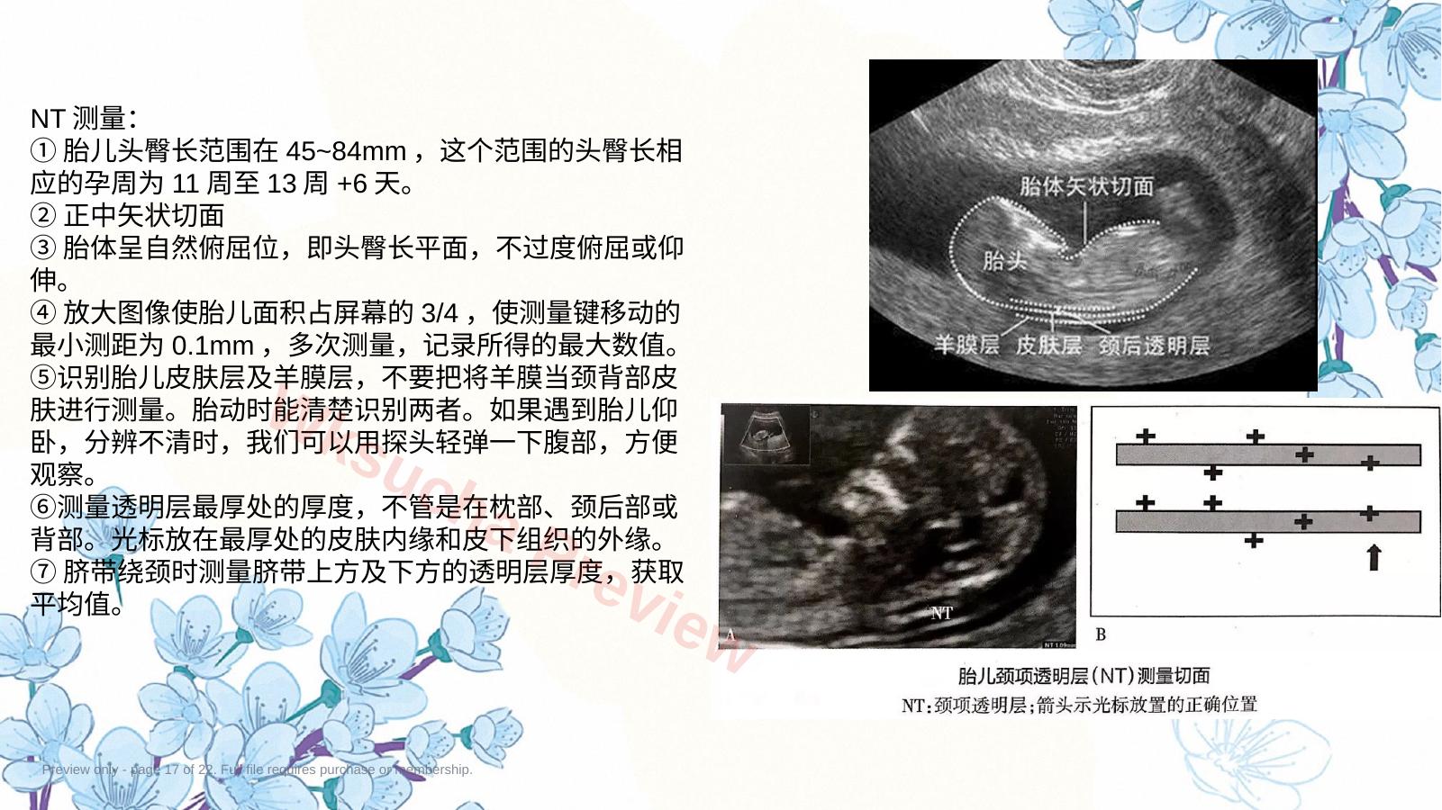 预览第 17 页