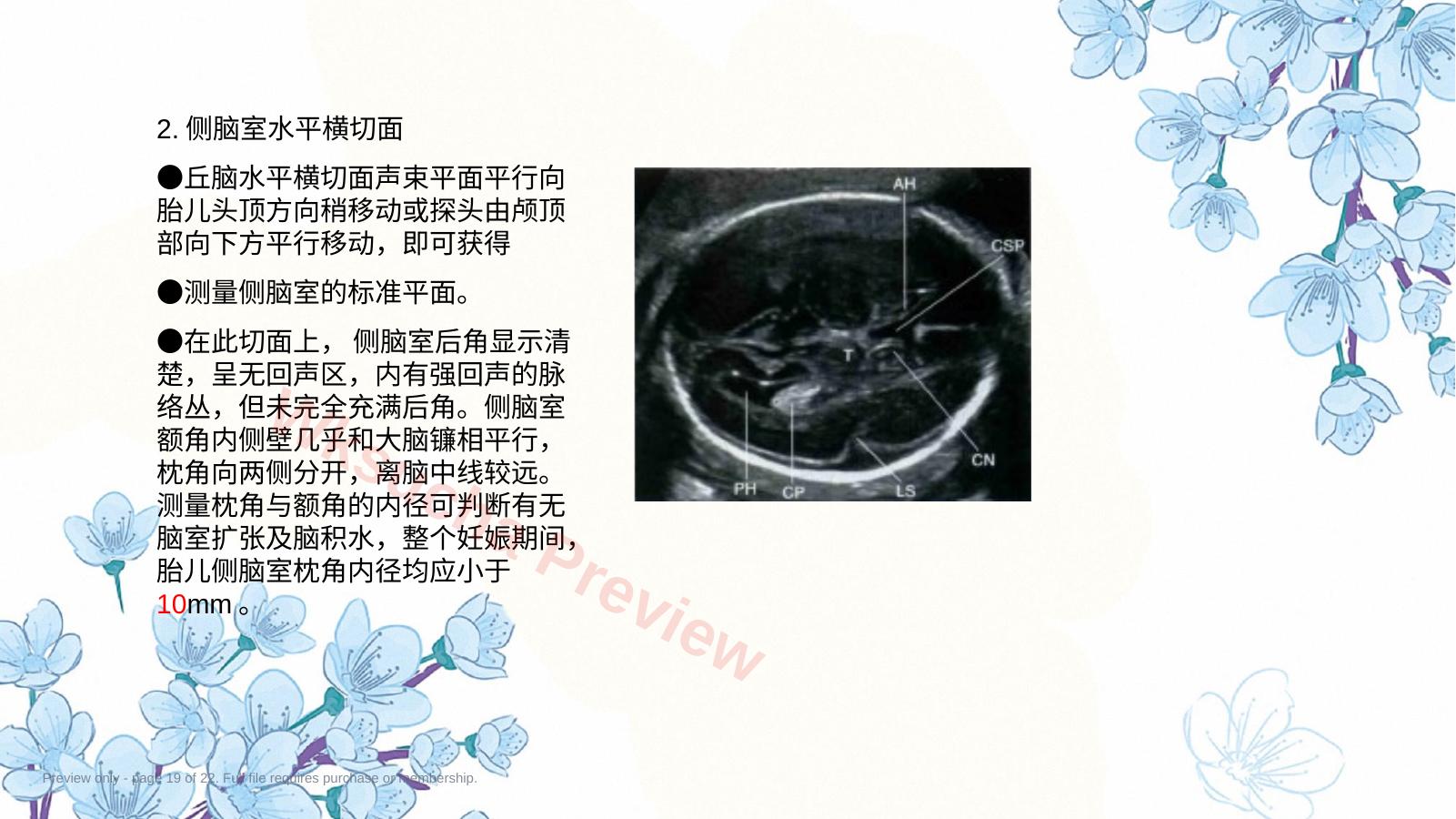 预览第 19 页