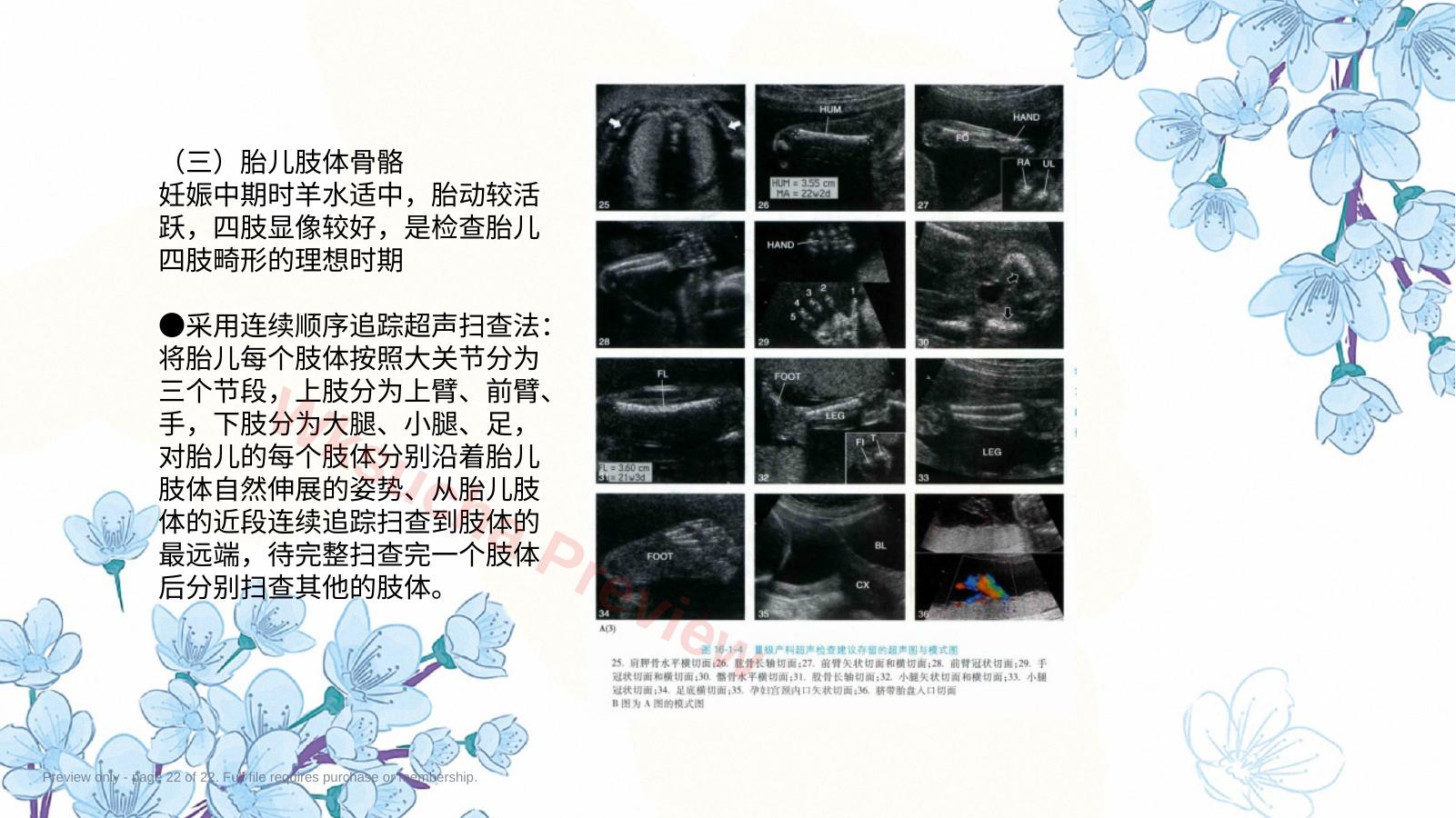 预览第 22 页