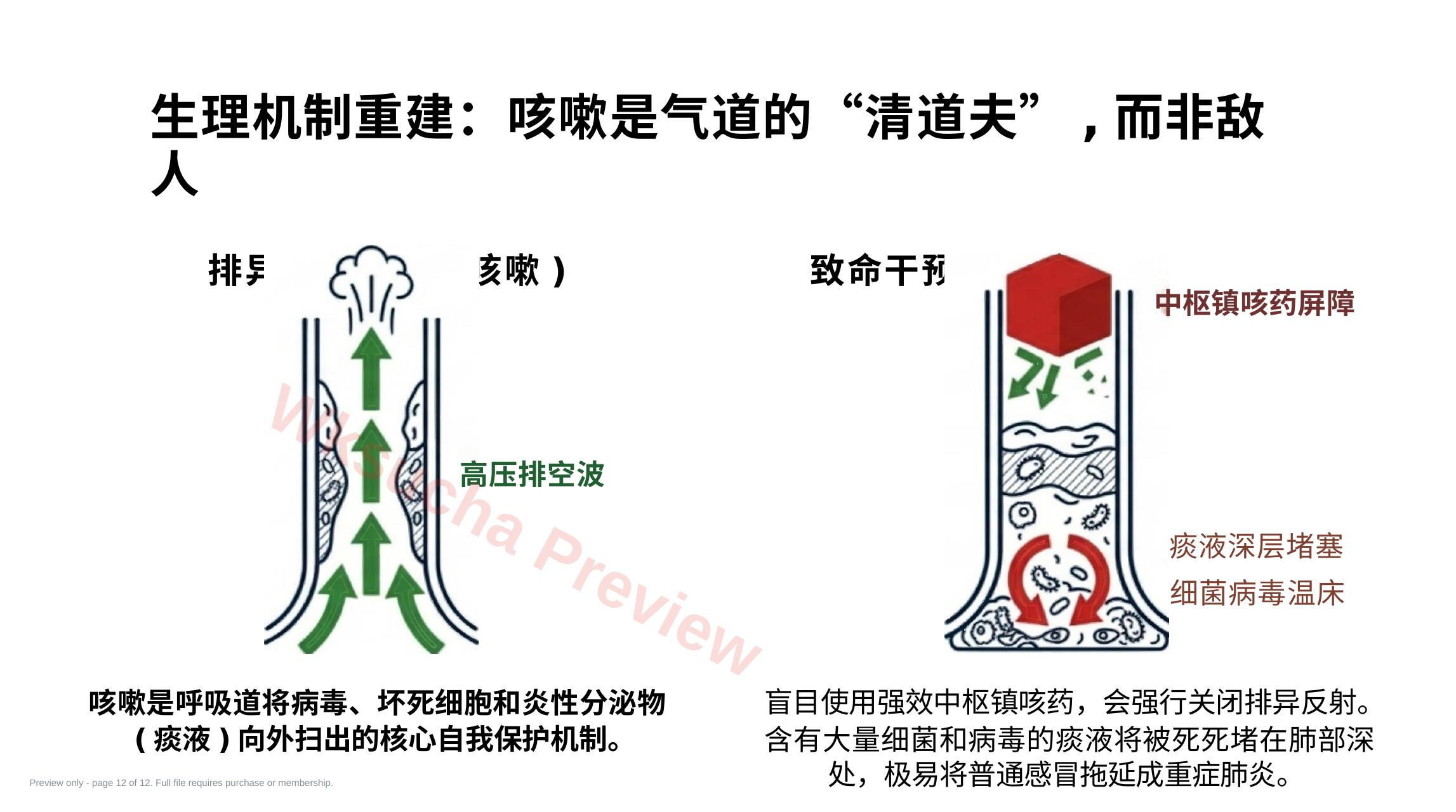 预览第 12 页