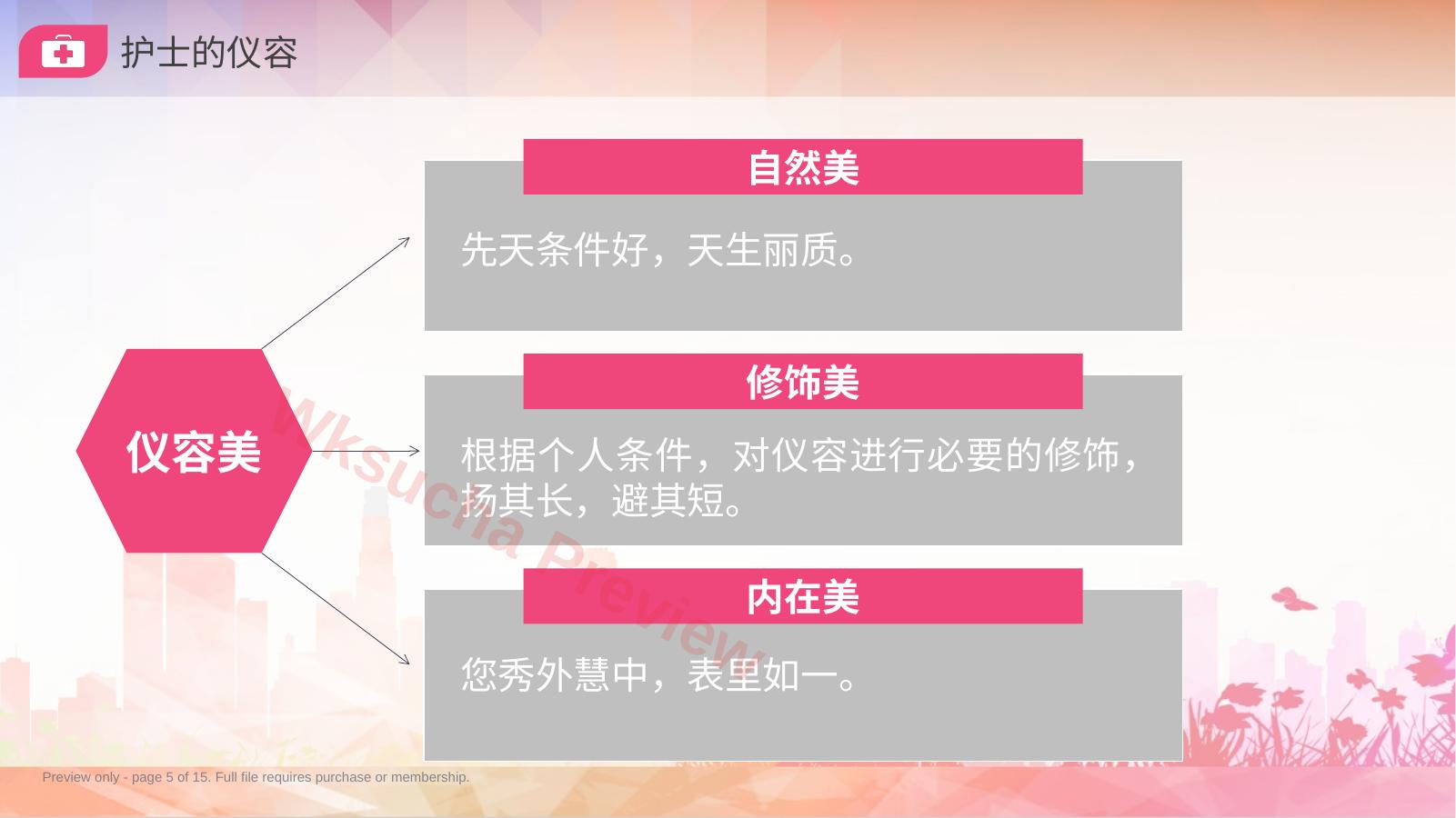 预览第 5 页