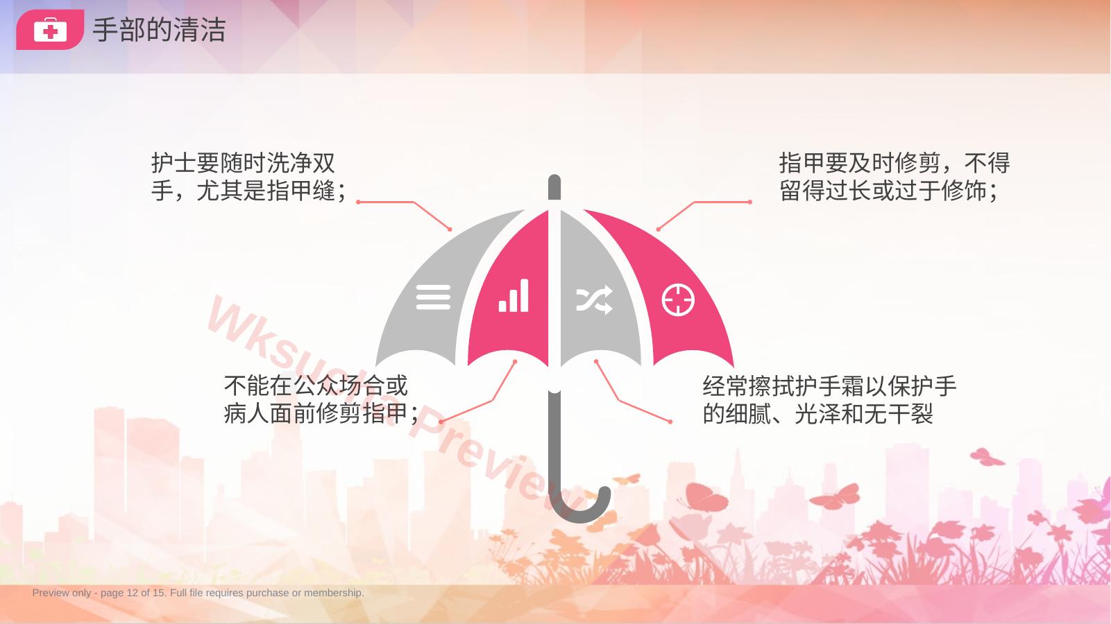预览第 12 页