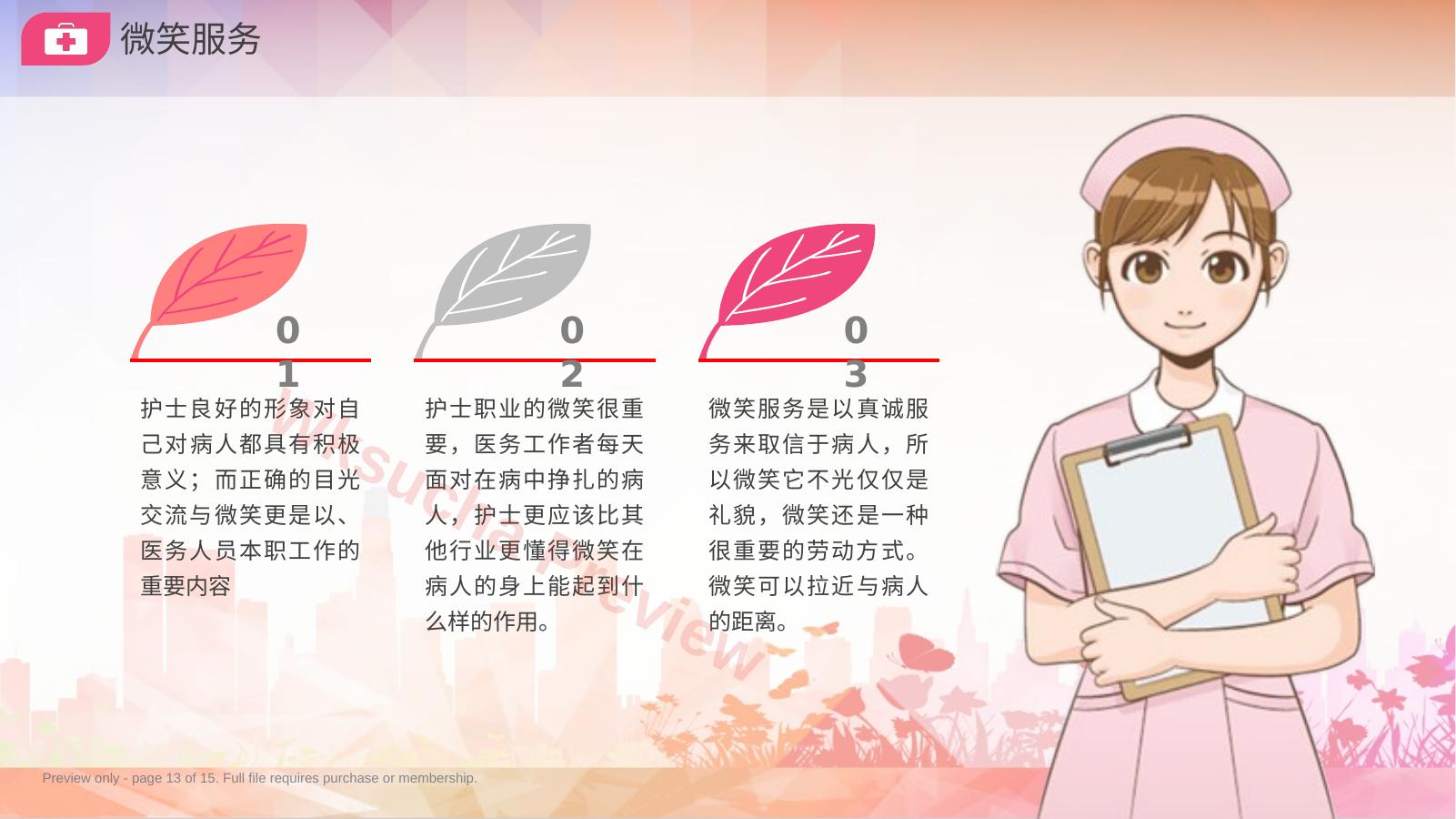 预览第 13 页