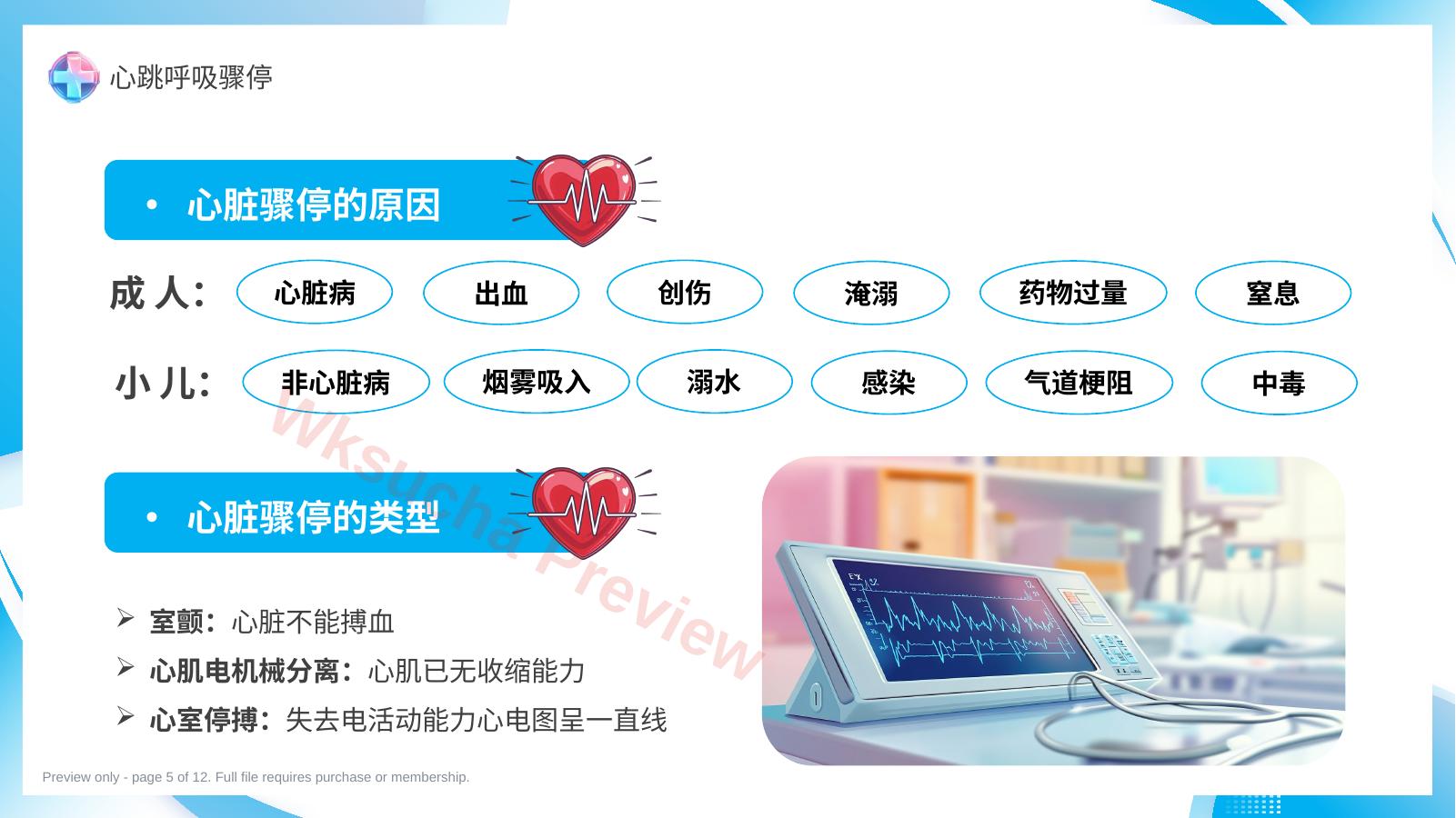 预览第 5 页