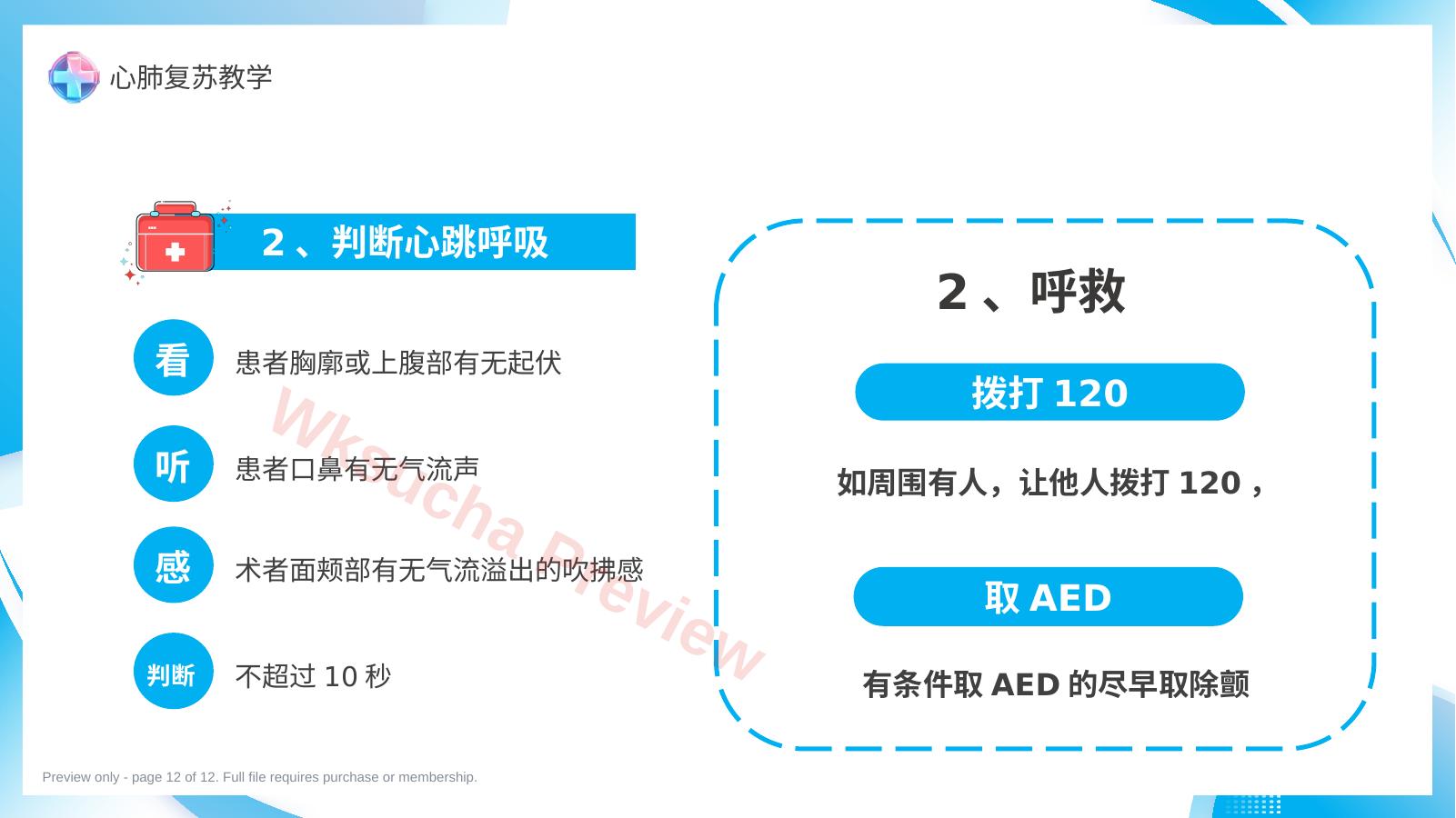 预览第 12 页