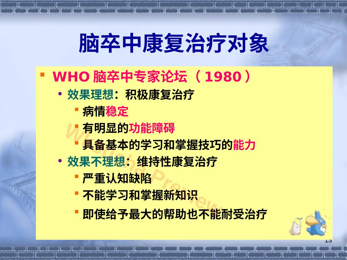 预览第 13 页
