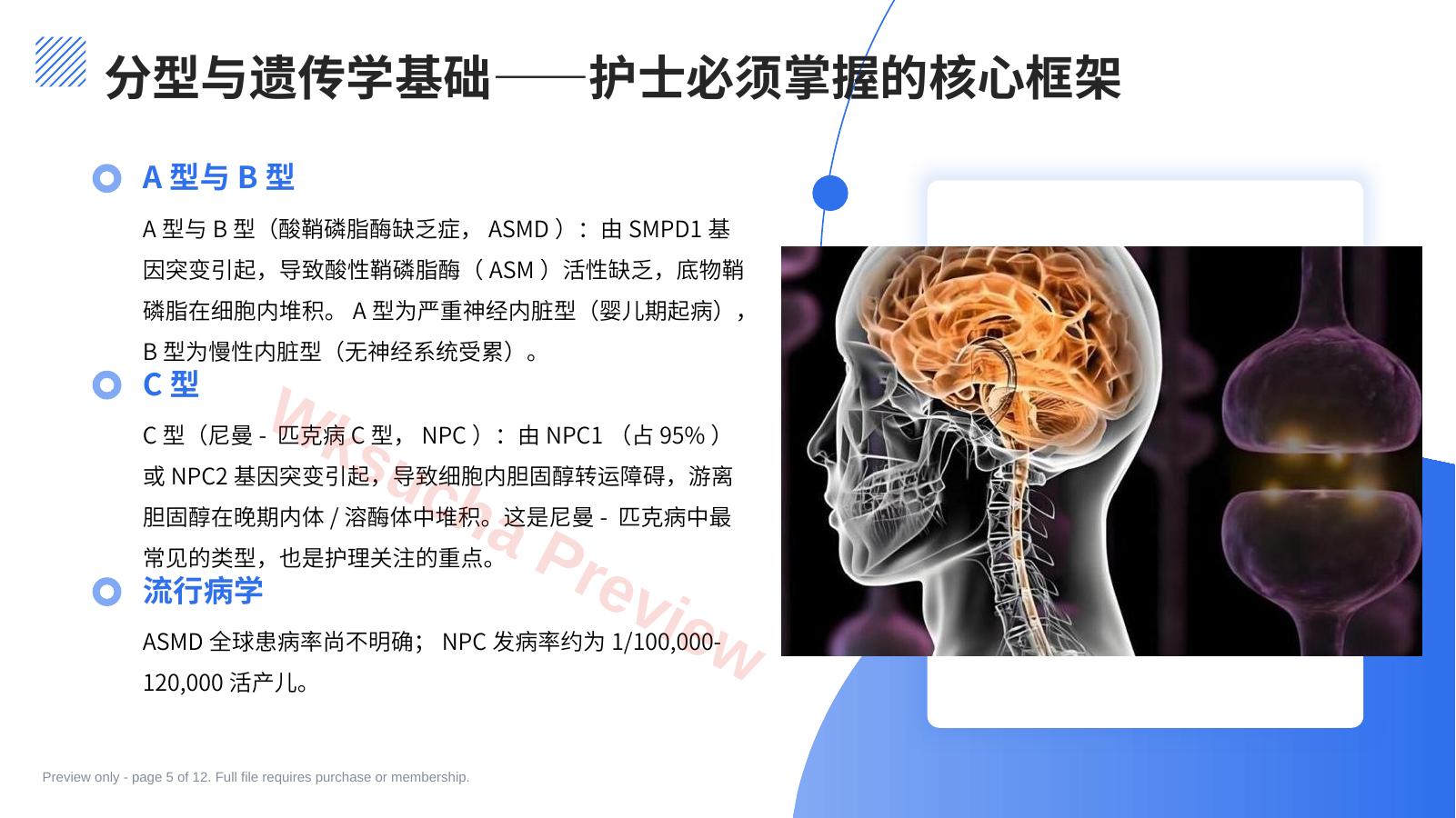 预览第 5 页