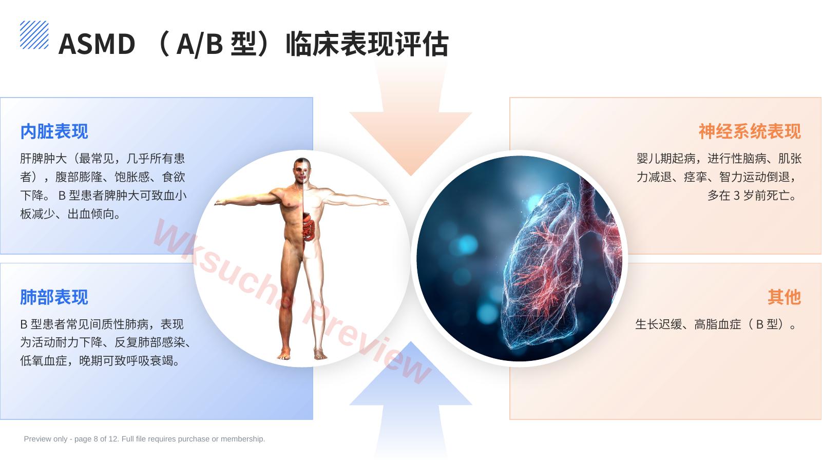 预览第 8 页