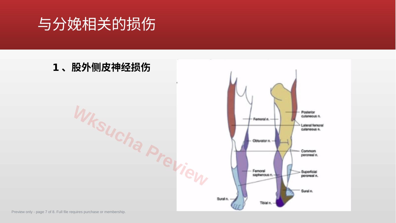预览第 7 页