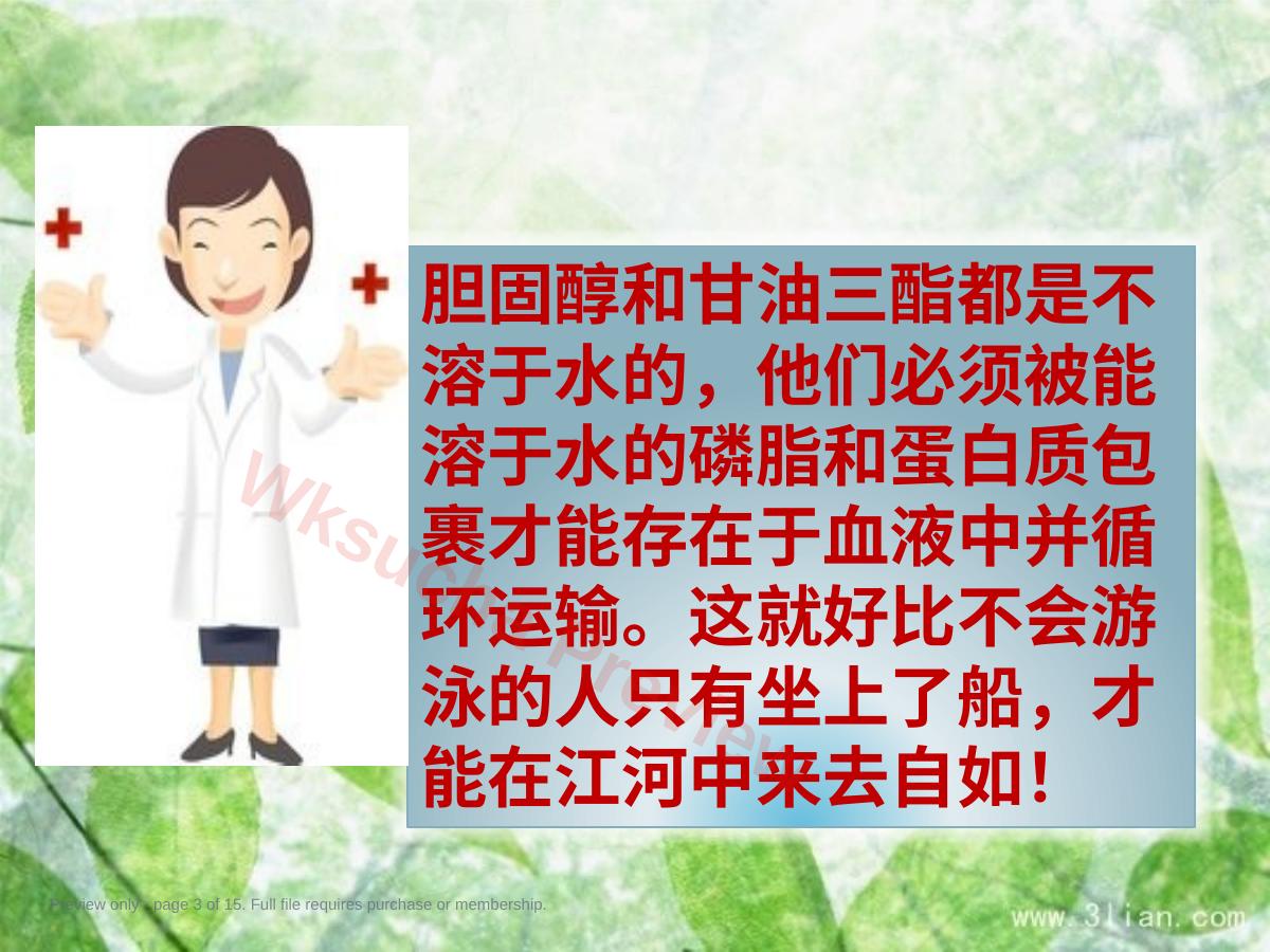 预览第 3 页