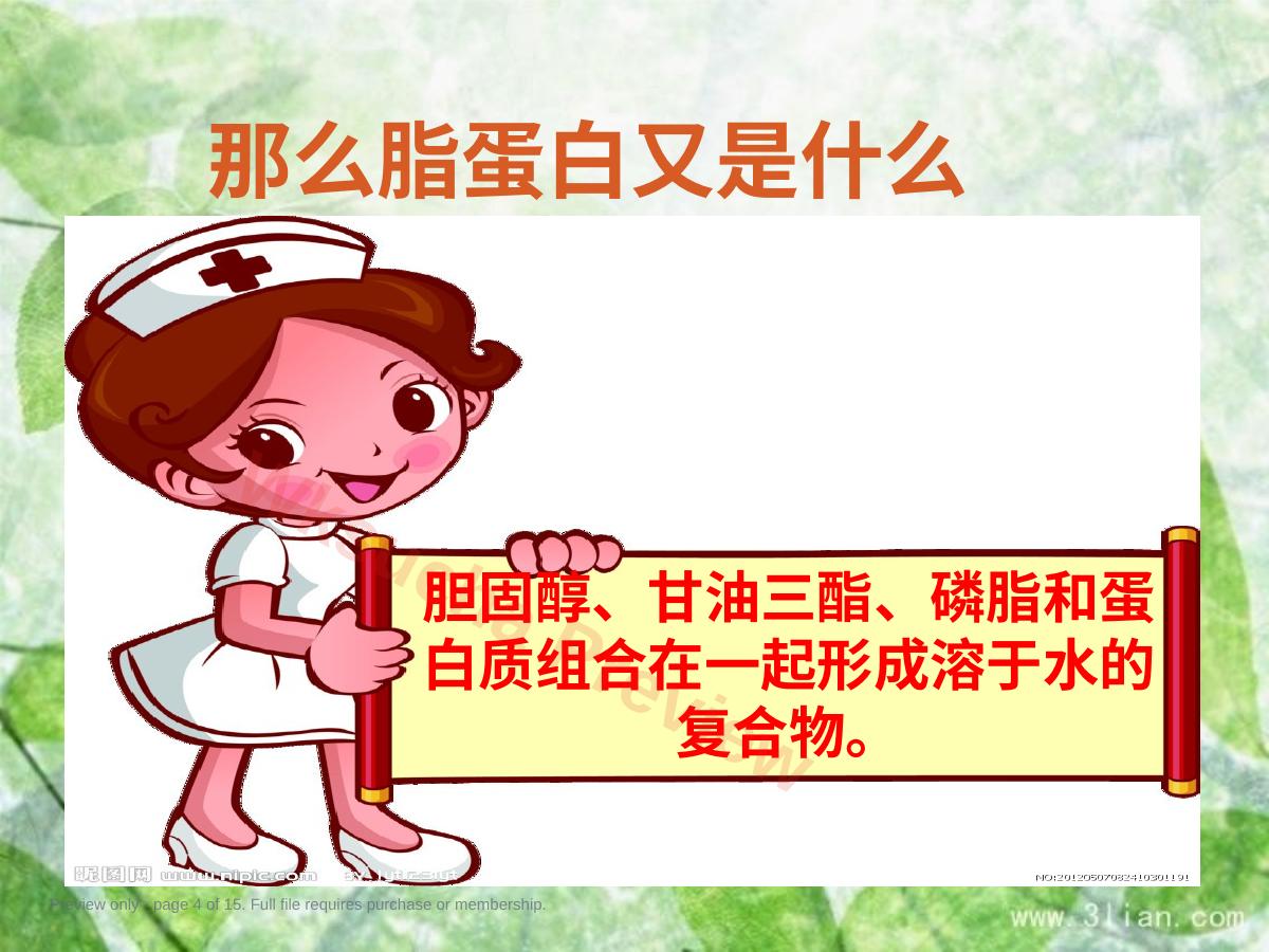 预览第 4 页
