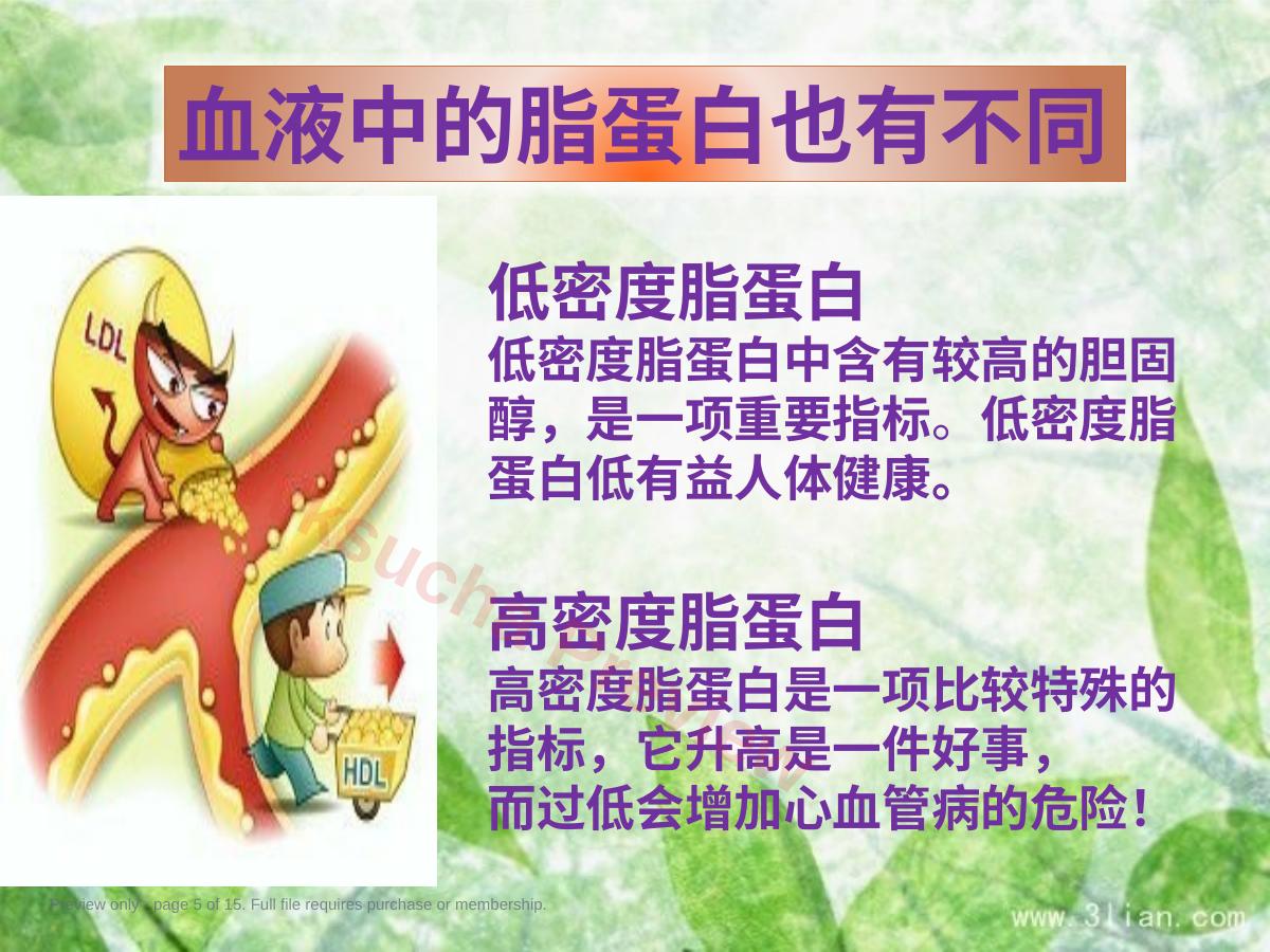 预览第 5 页