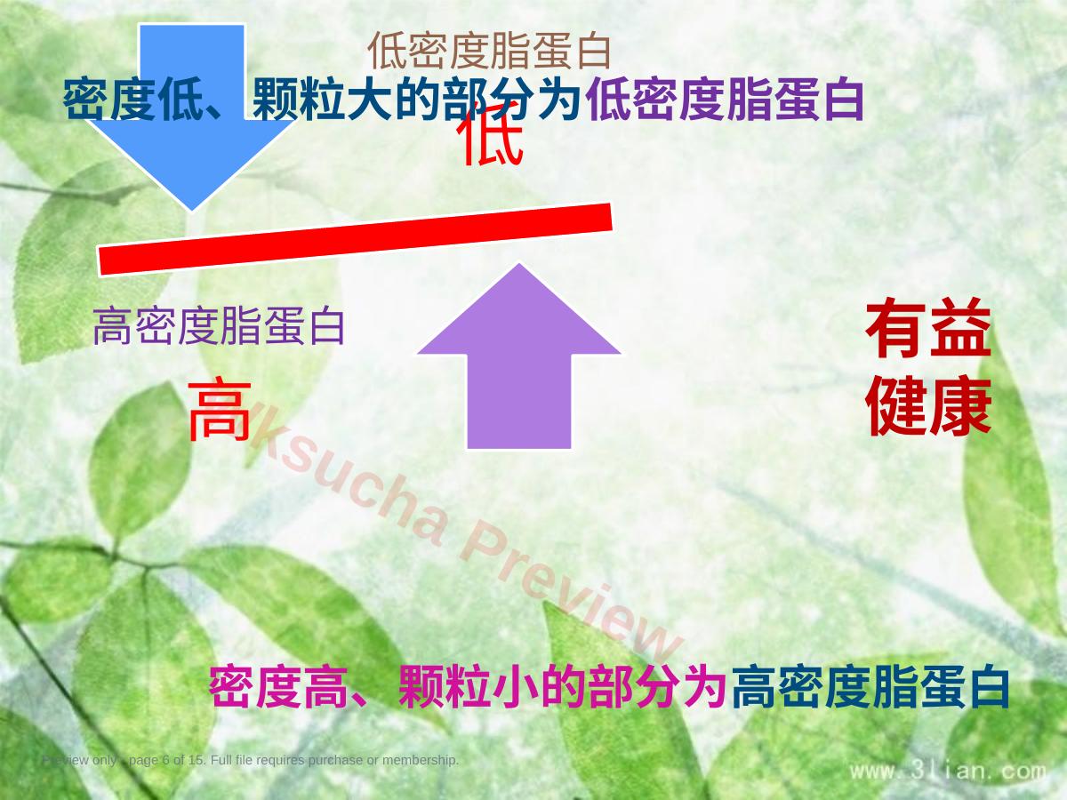 预览第 6 页