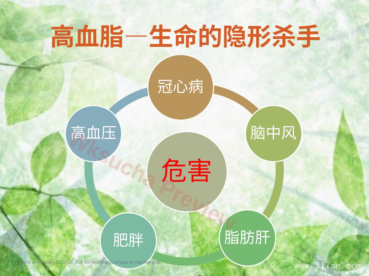 预览第 12 页