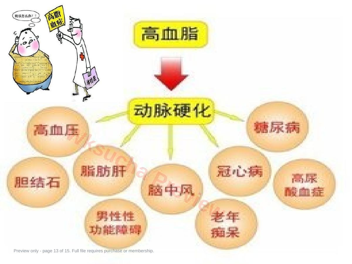 预览第 13 页