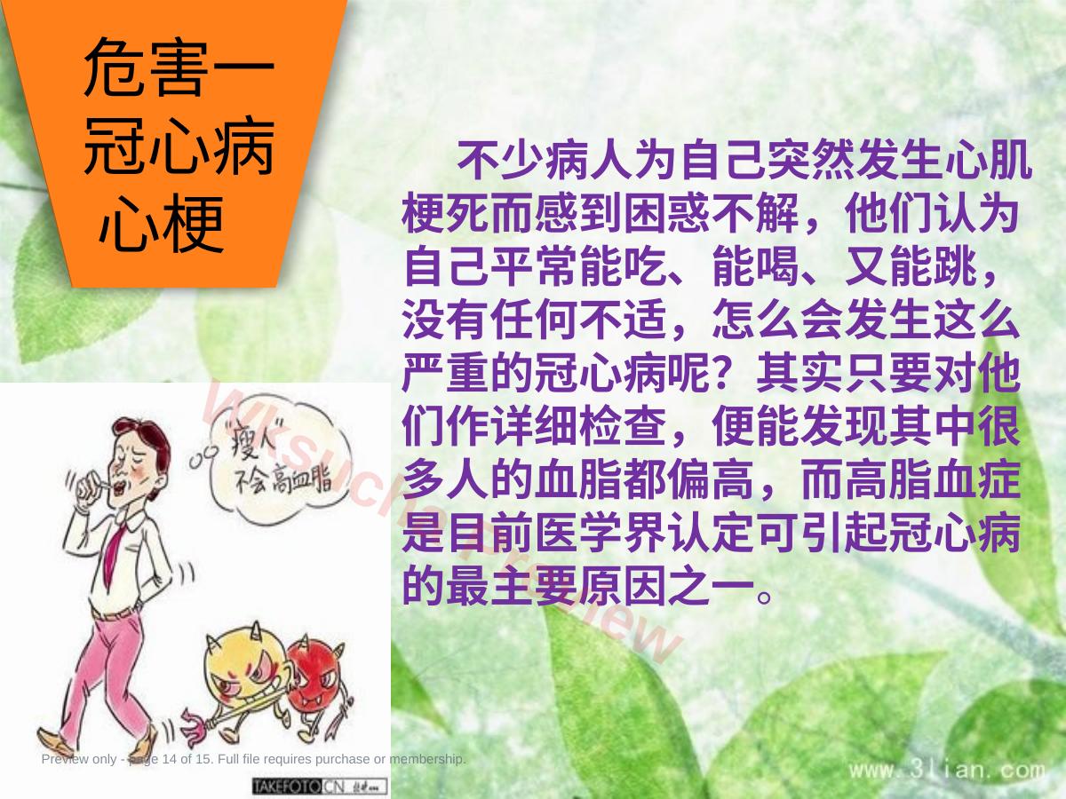 预览第 14 页