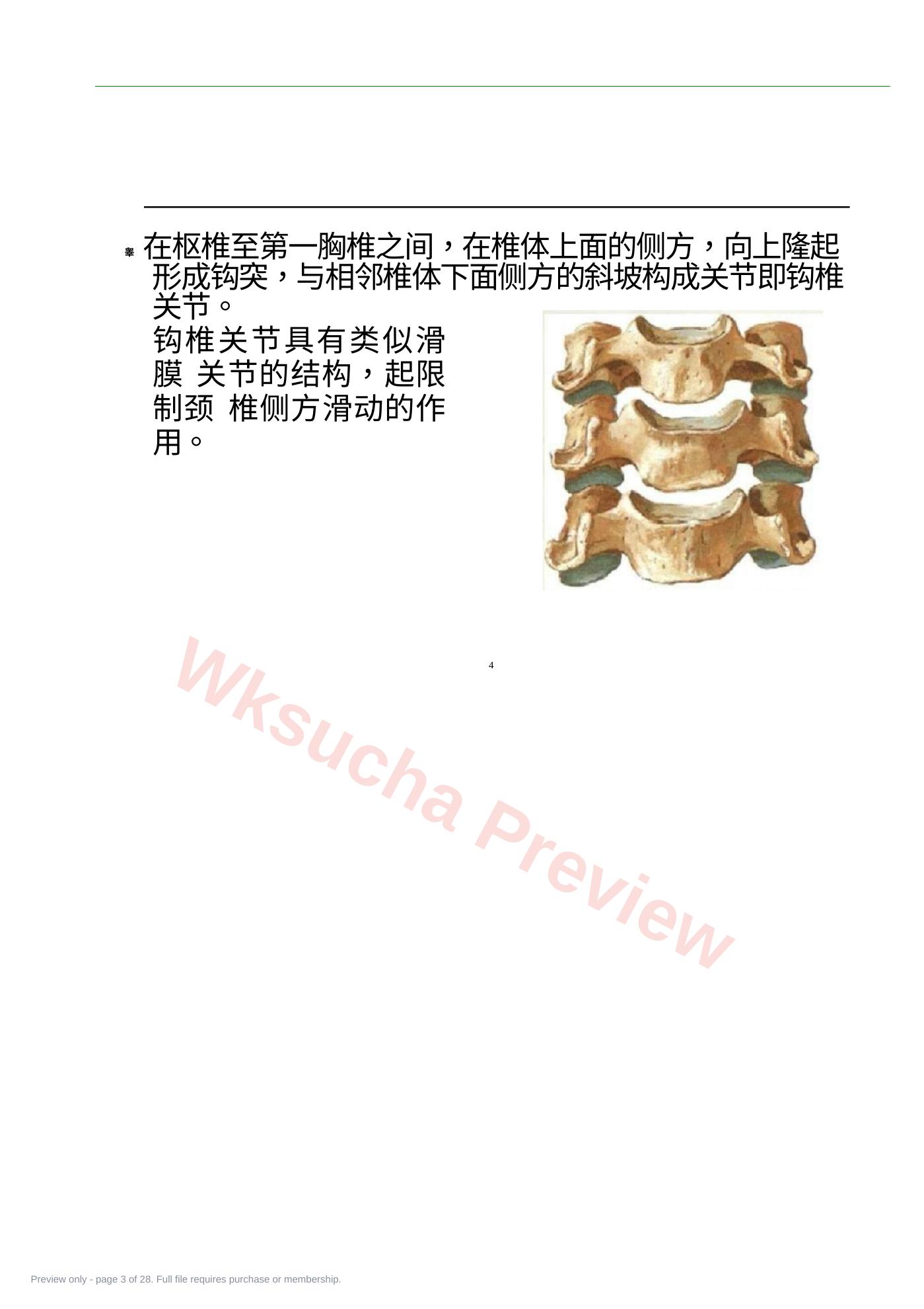 预览第 3 页