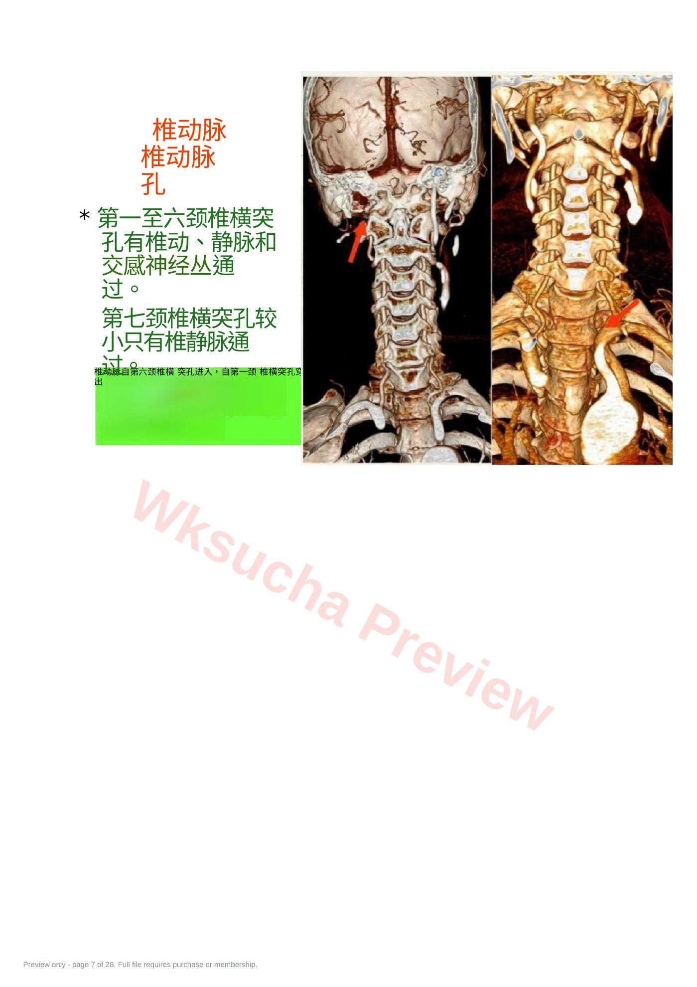 预览第 7 页
