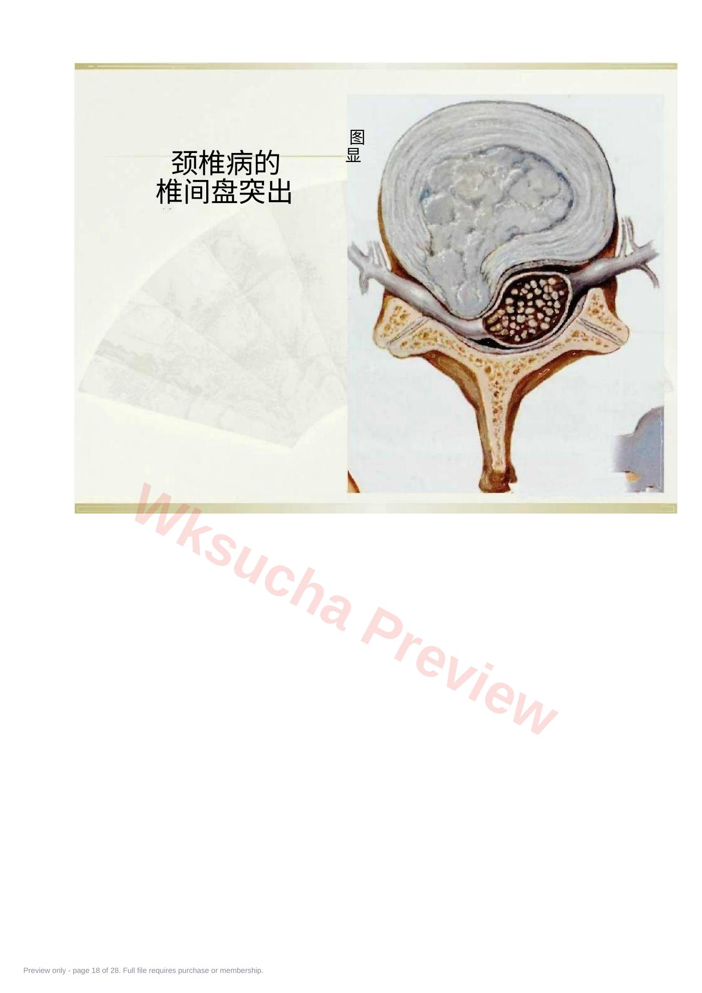 预览第 18 页
