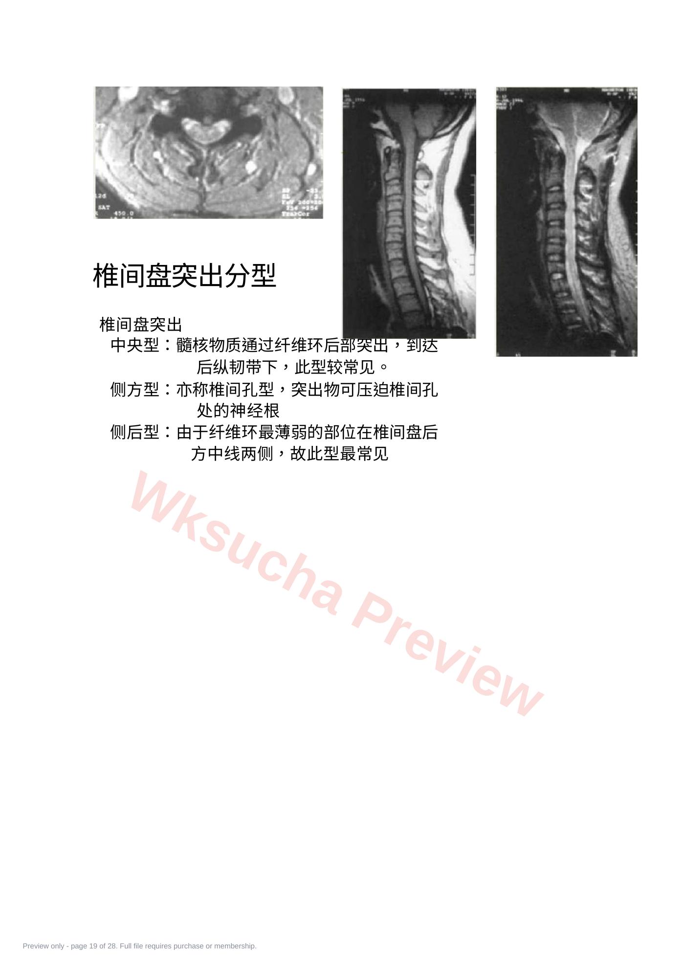 预览第 19 页