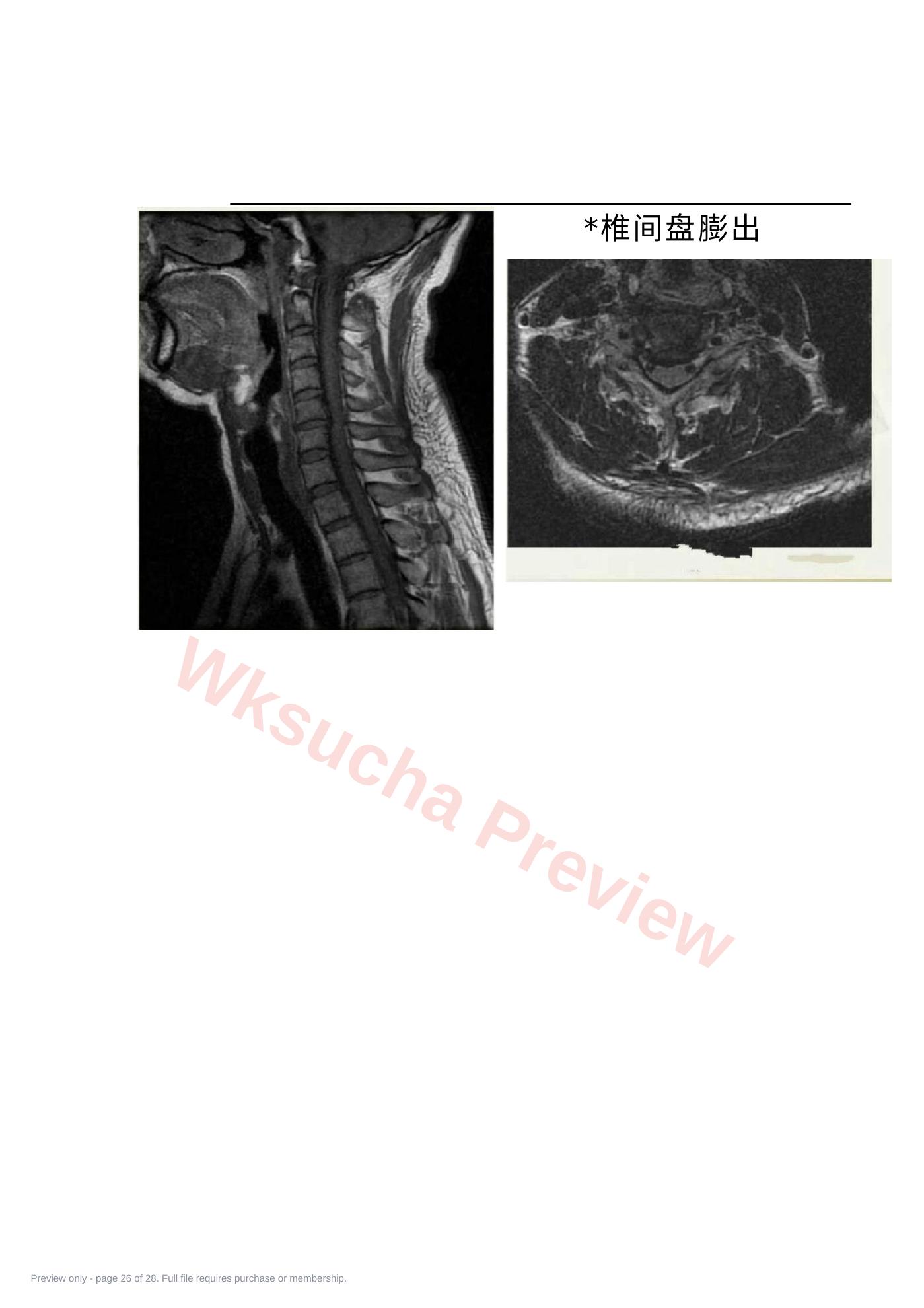 预览第 26 页