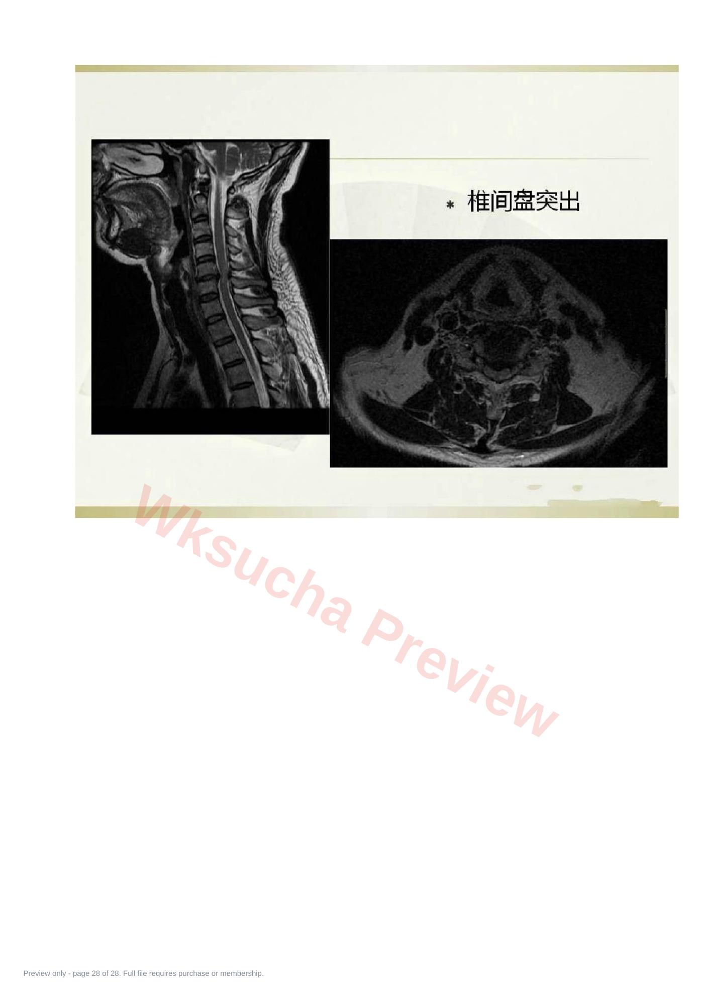 预览第 28 页