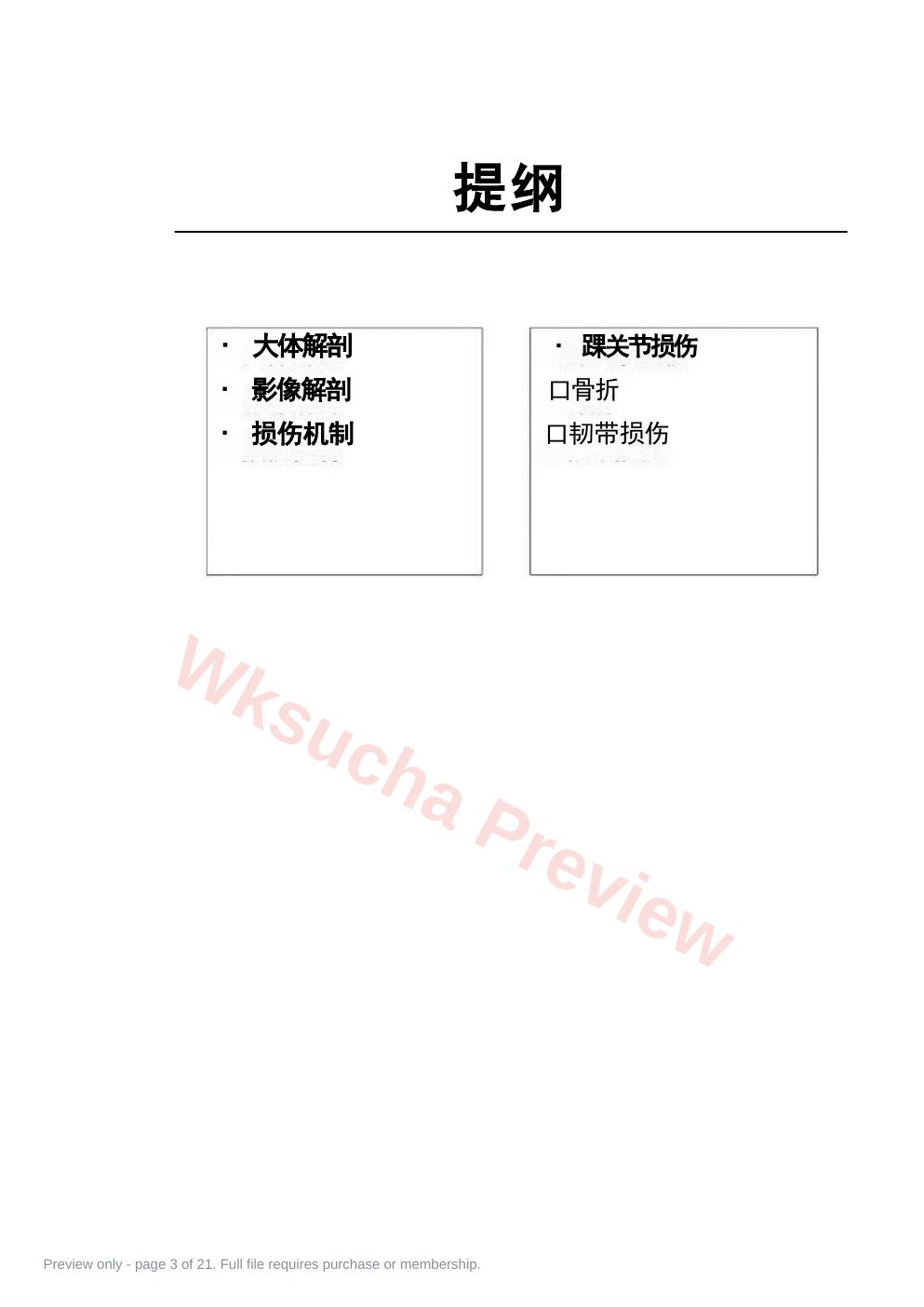 预览第 3 页