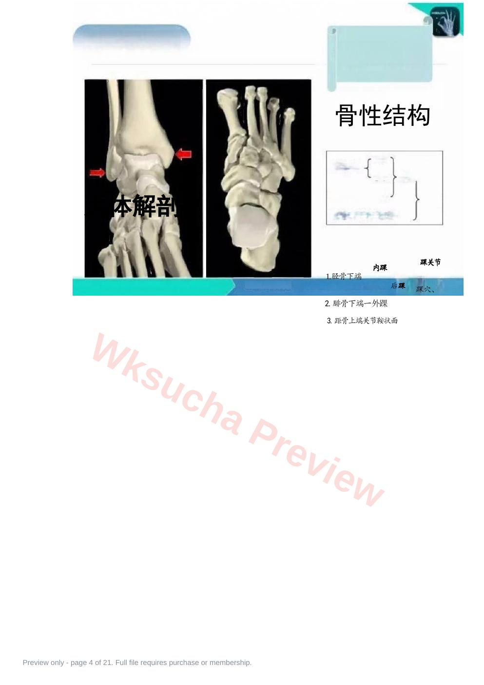 预览第 4 页