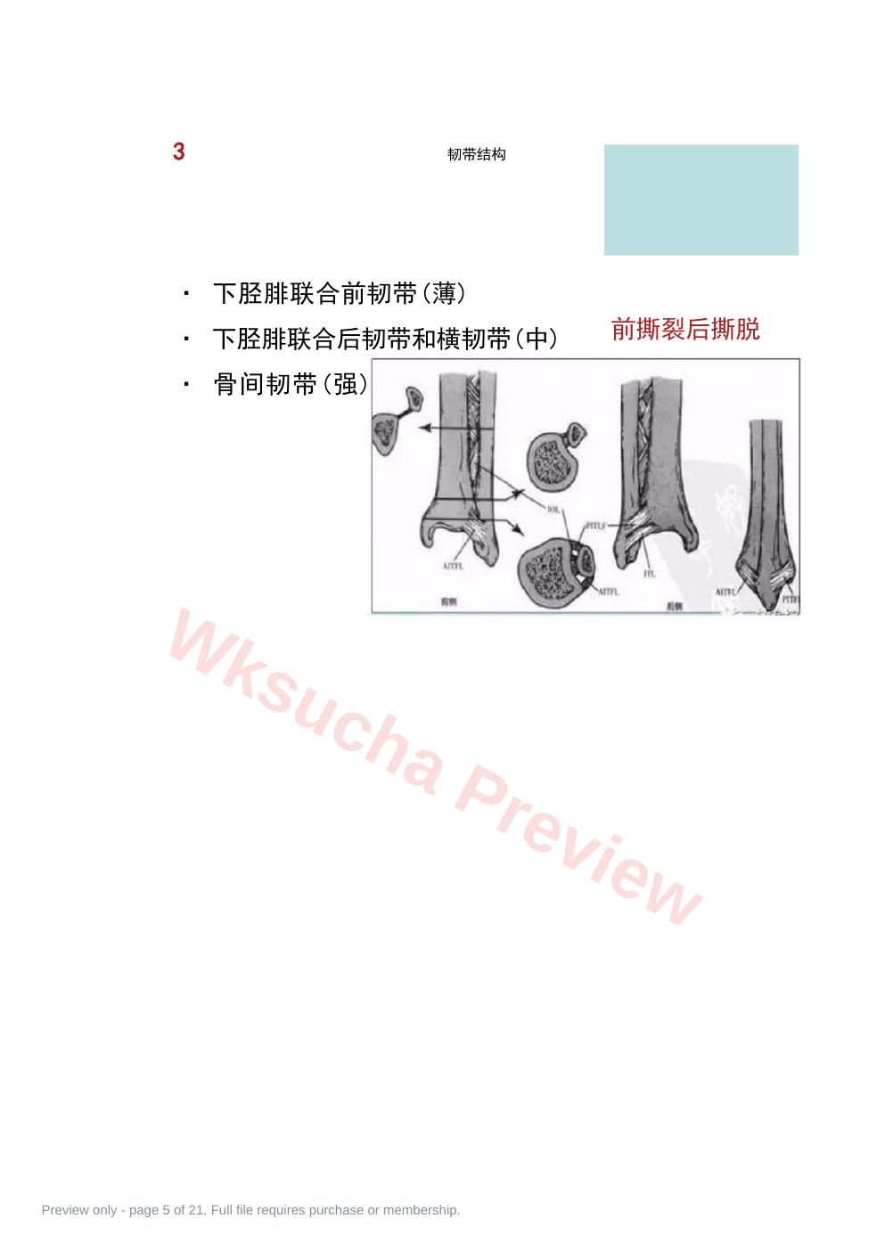 预览第 5 页