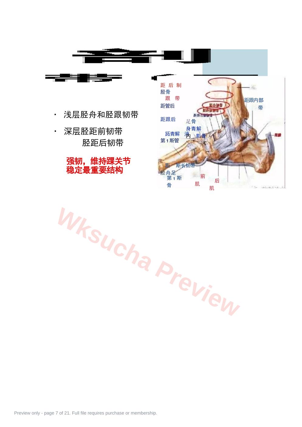 预览第 7 页