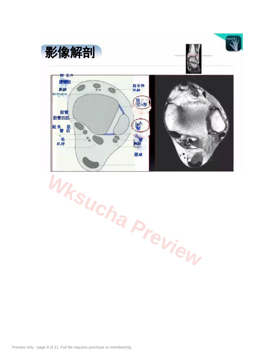 预览第 8 页