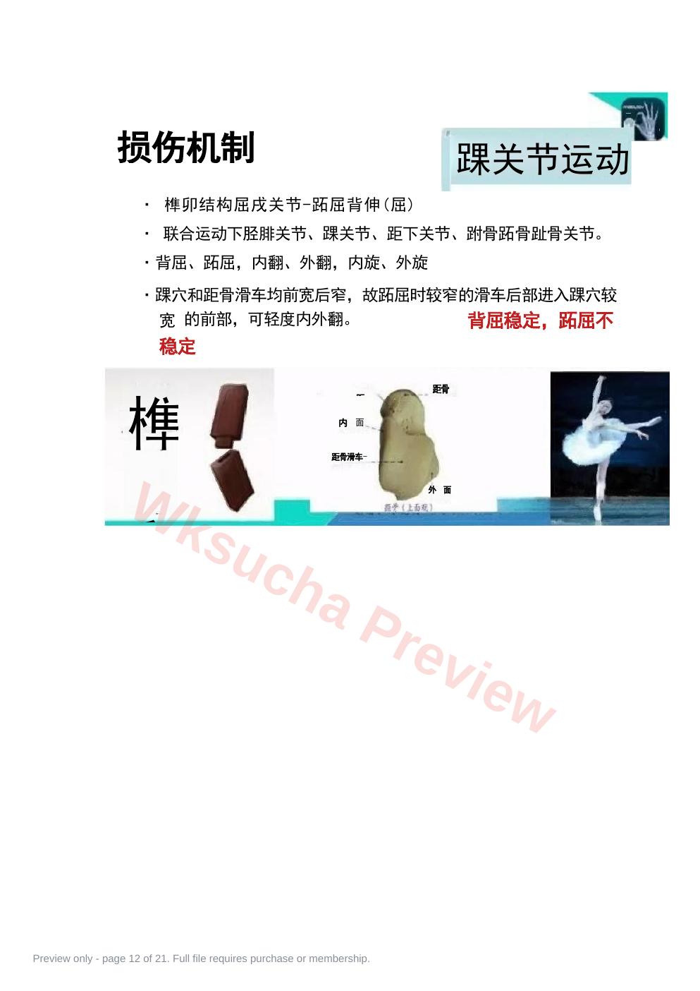 预览第 12 页